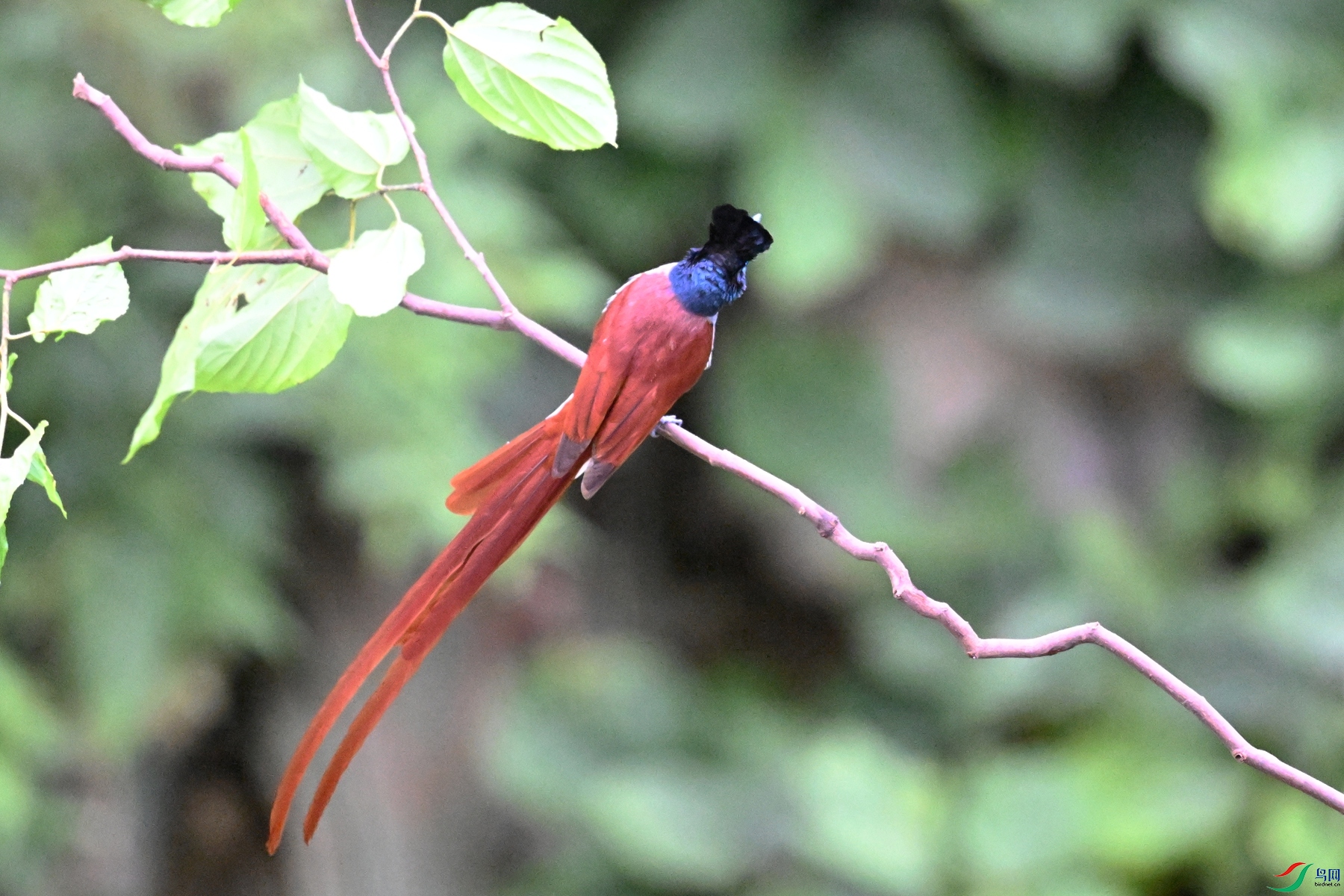 DSC_6387.JPG