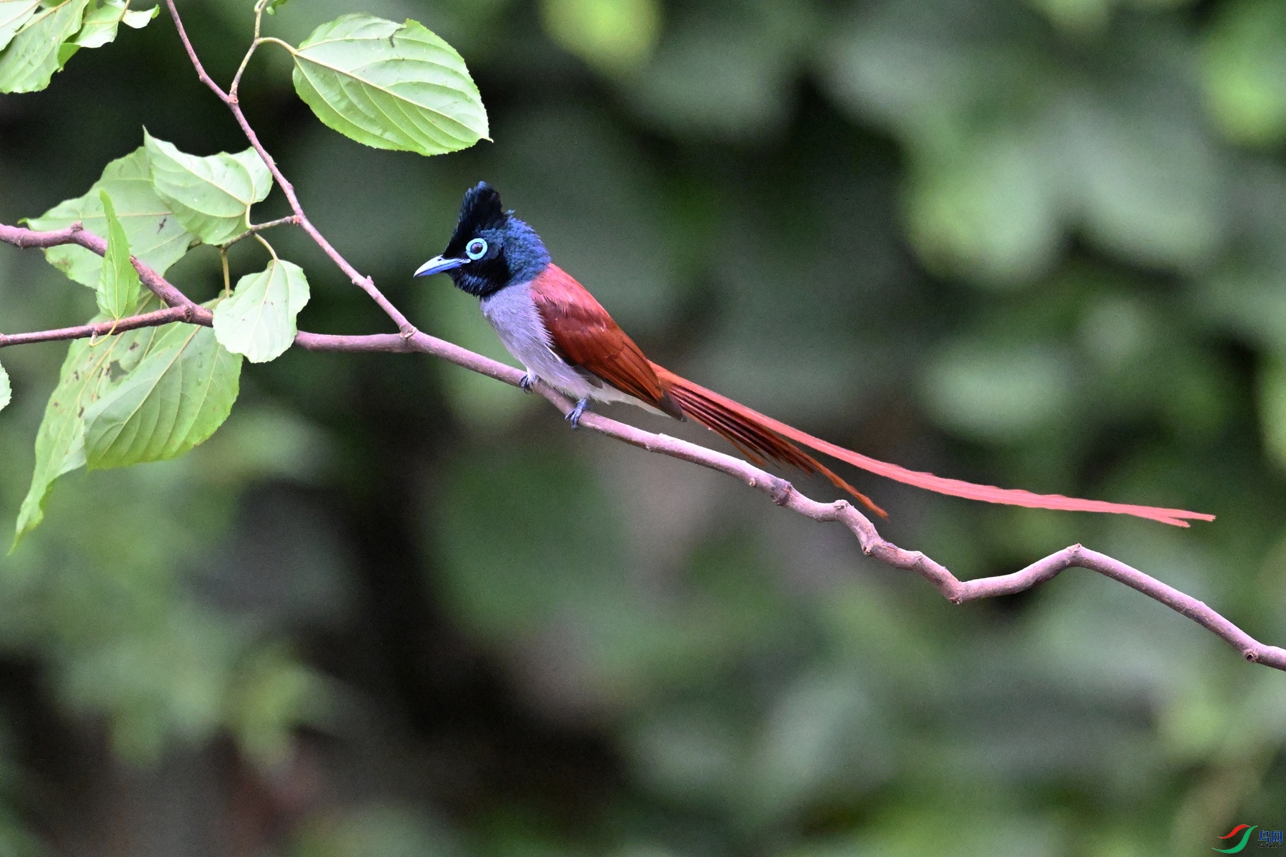 DSC_6417.JPG