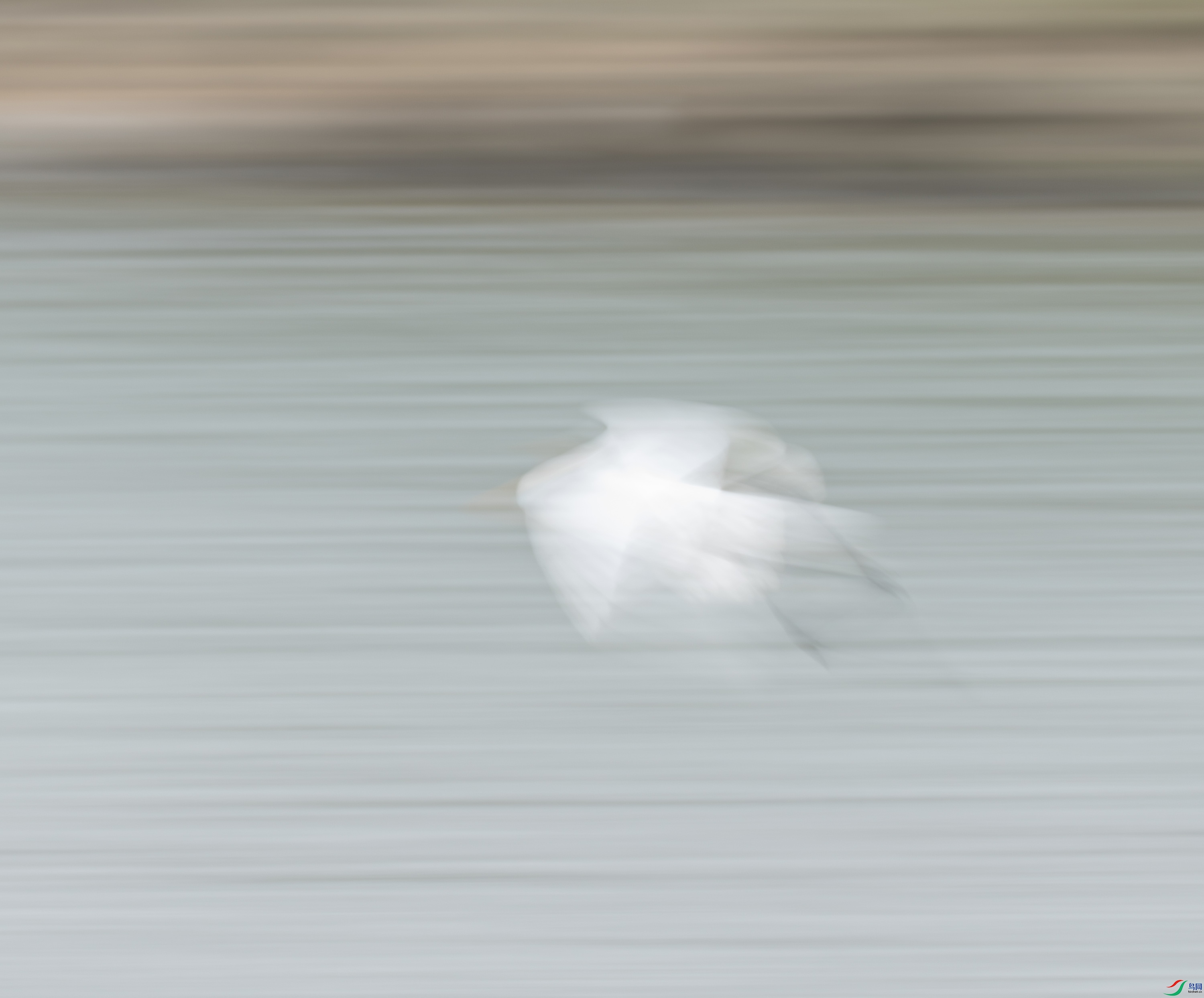 ����-001-1.jpg