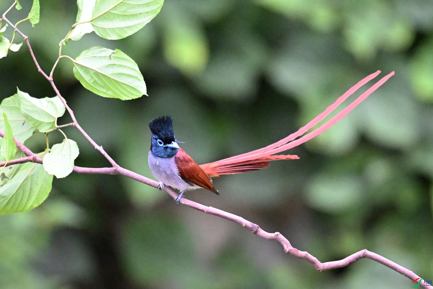 DSC_6429.JPG