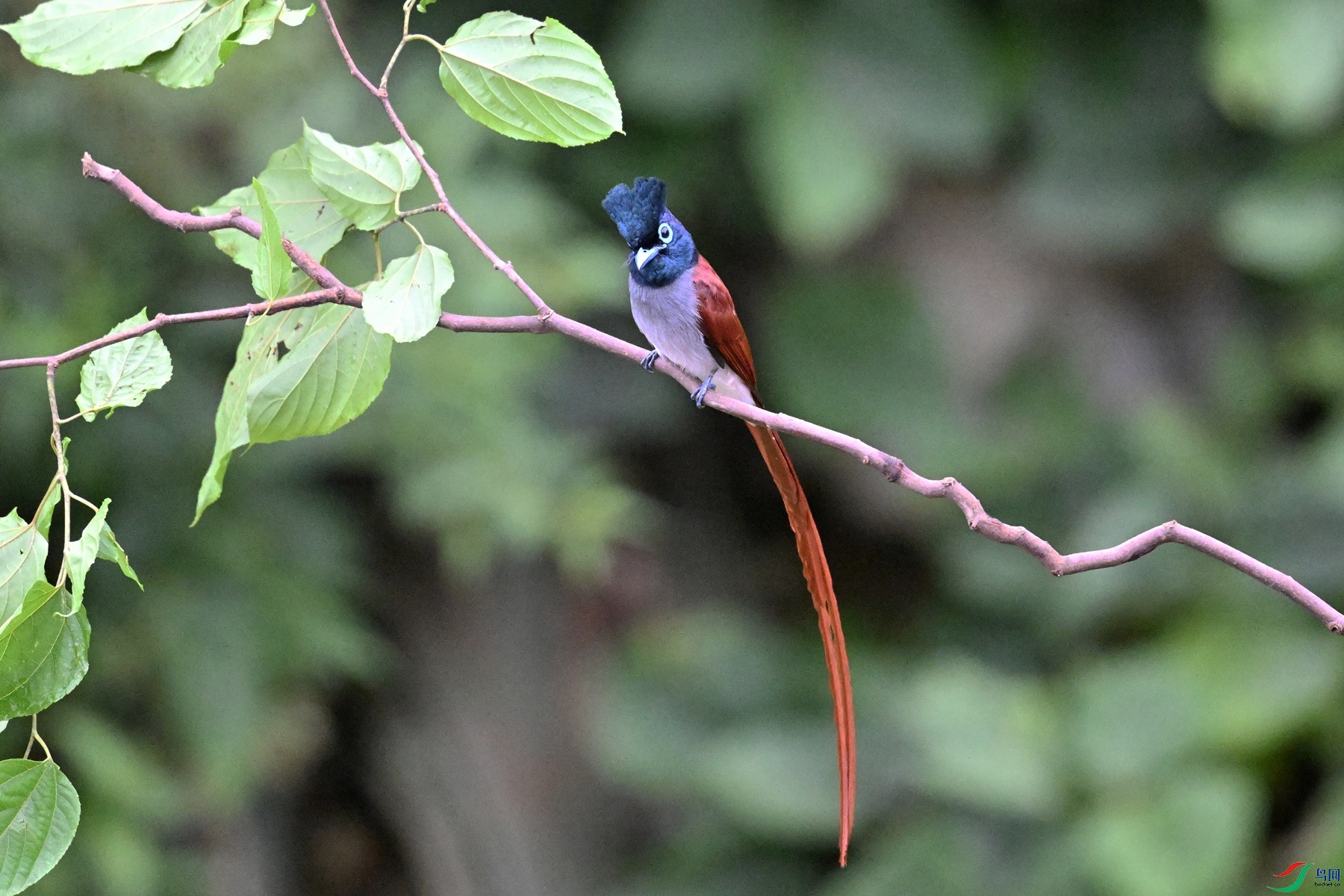 DSC_6397.JPG