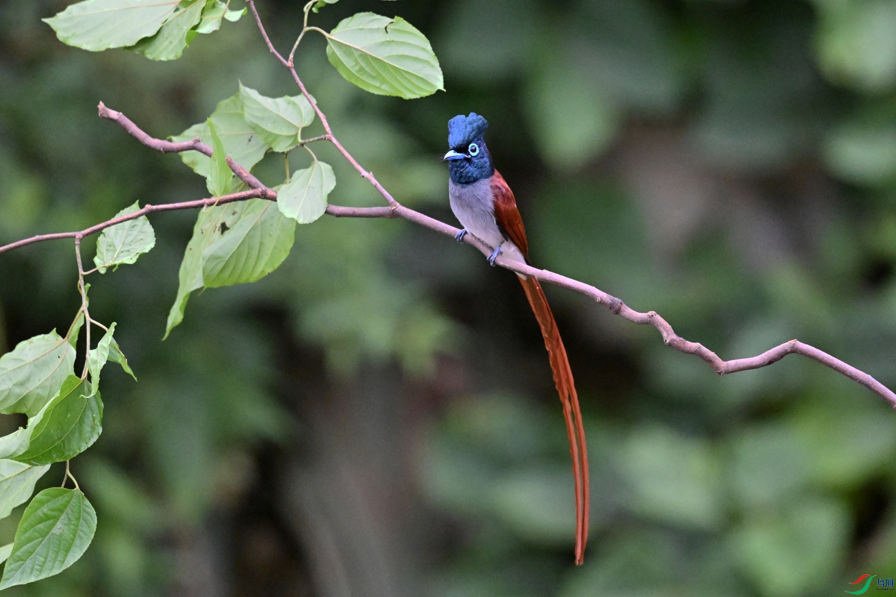 DSC_6401.JPG
