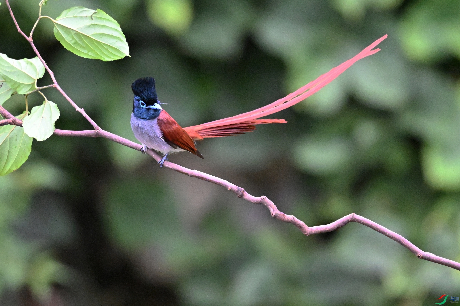 DSC_6427.JPG