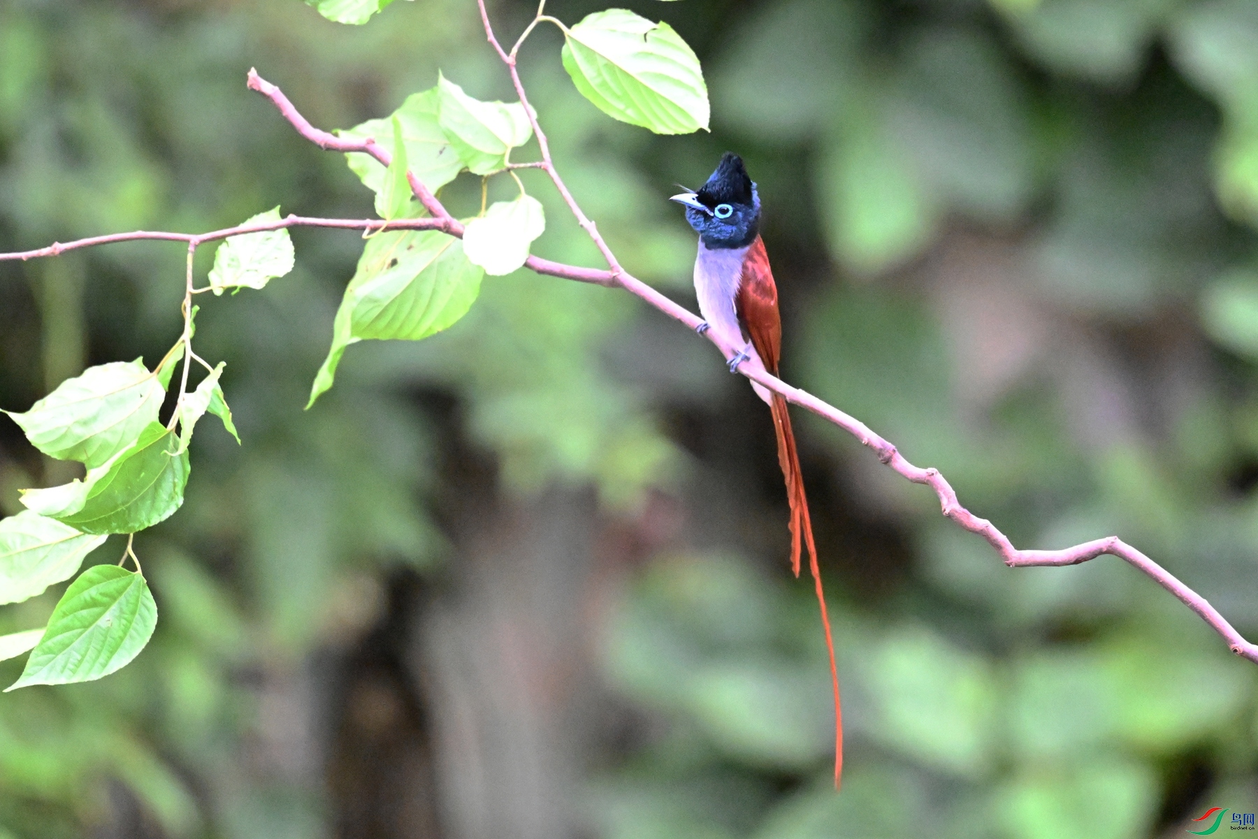 DSC_6412.JPG