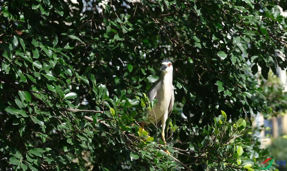 DSCF3907.1.jpg