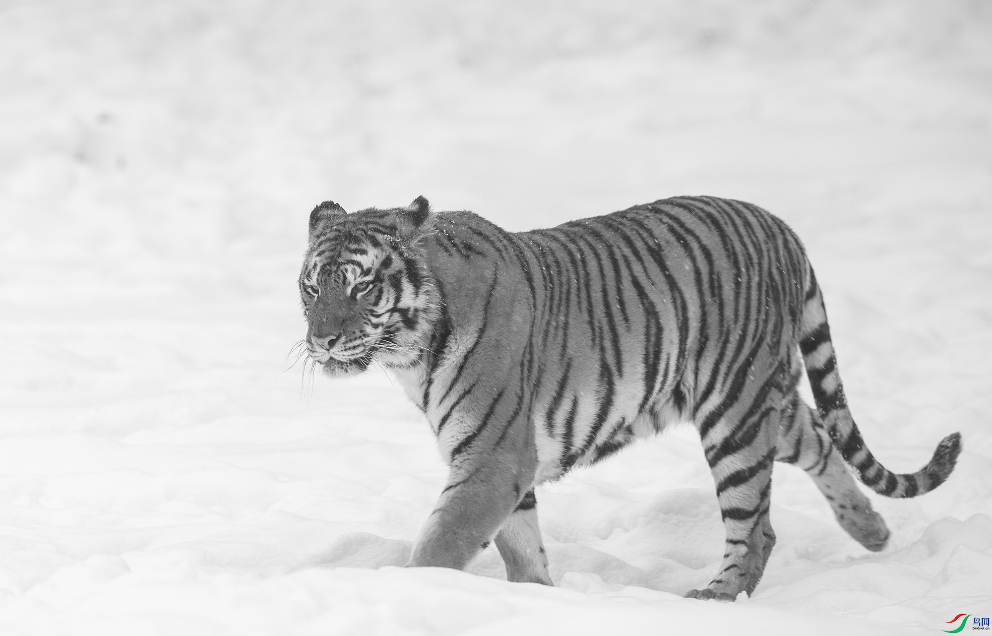 AC3I9300 ����.jpg