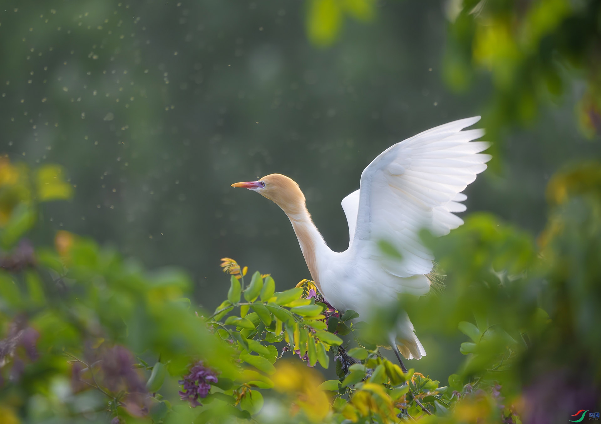 DSC05569-����ǿ-NR ����.jpg