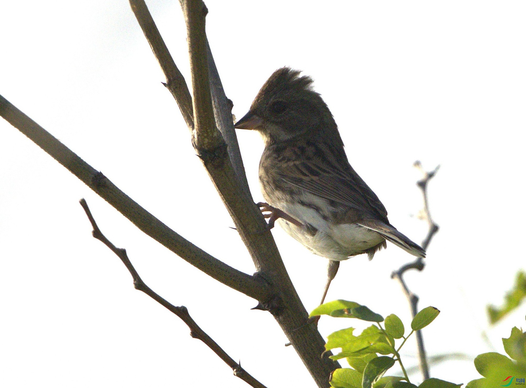 ʲô�c  11   _98A8041.jpg