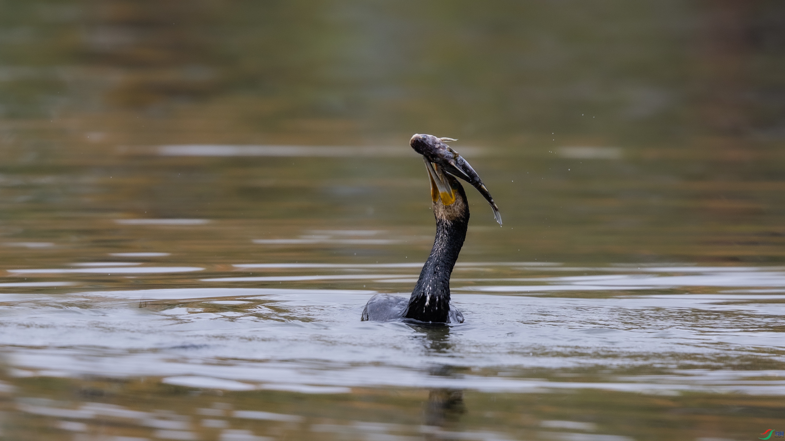 0O7A8358 ����.jpg