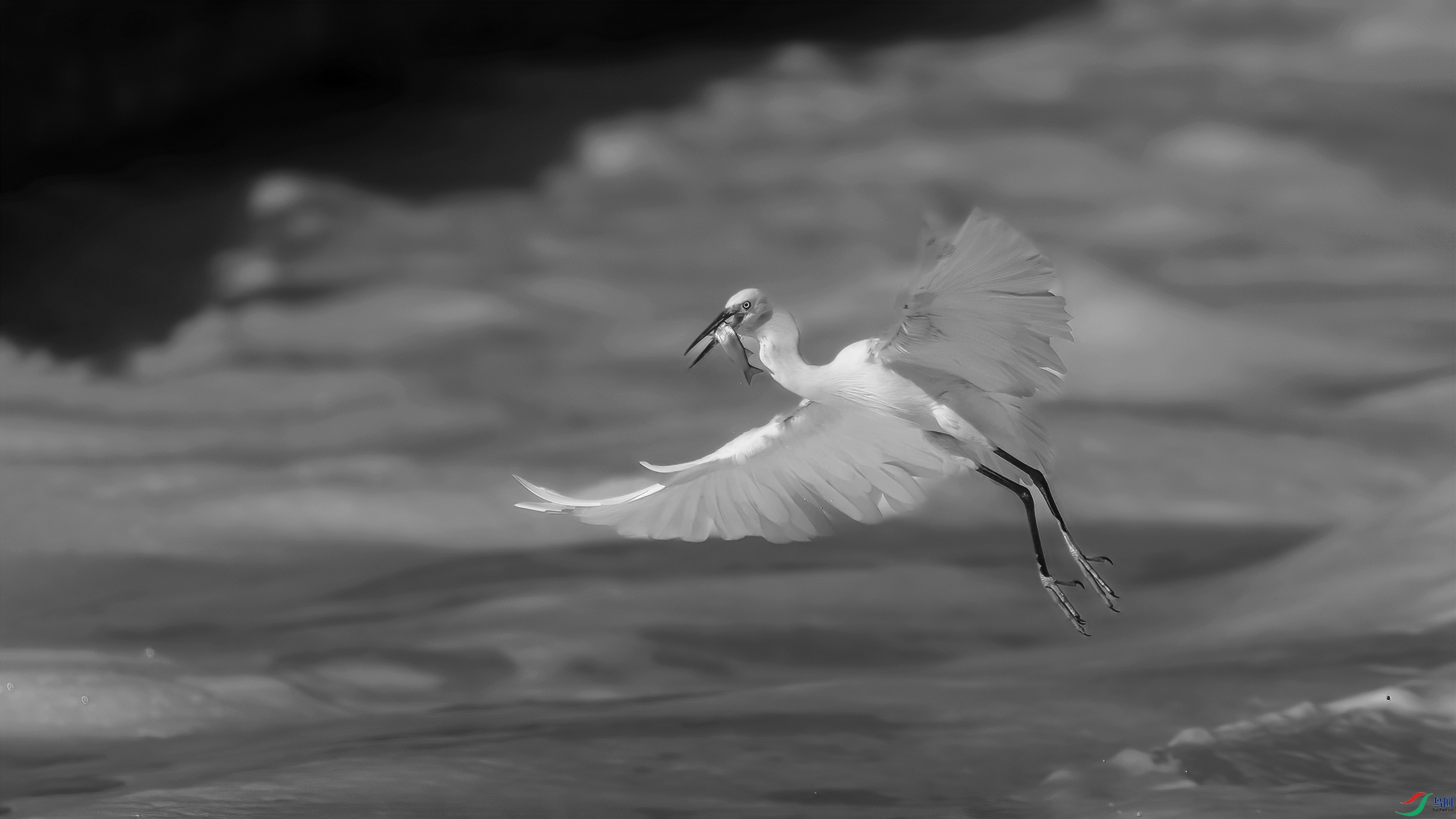 AE1V7839 ����.jpg