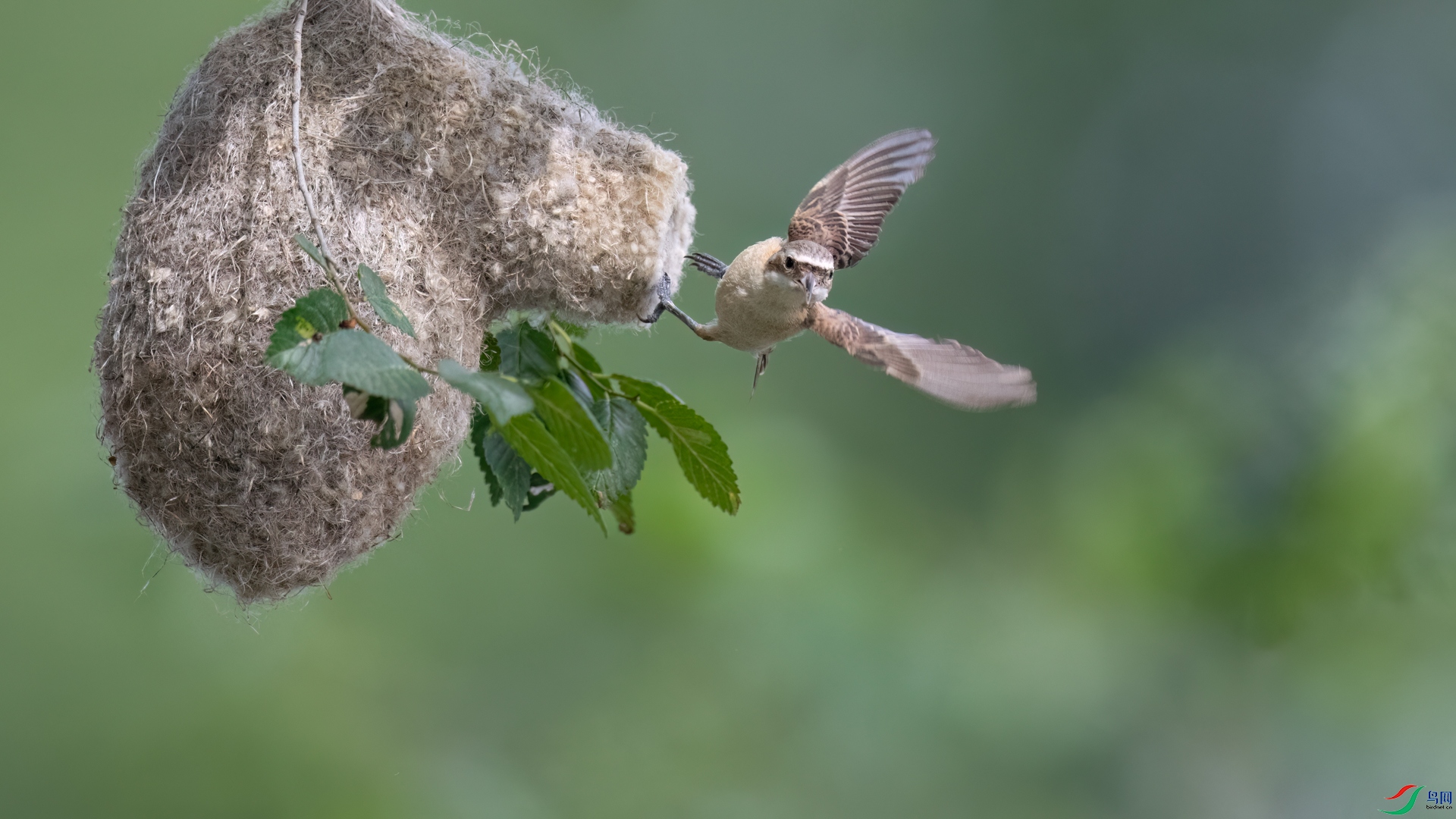 DSC_1498sen2025-6-16-35-�༭.jpg