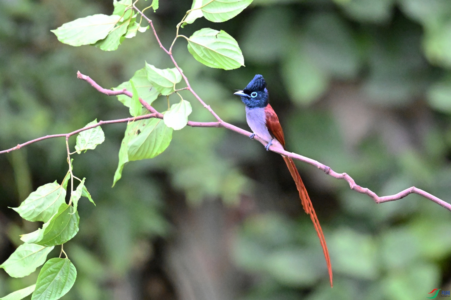 DSC_6404.JPG
