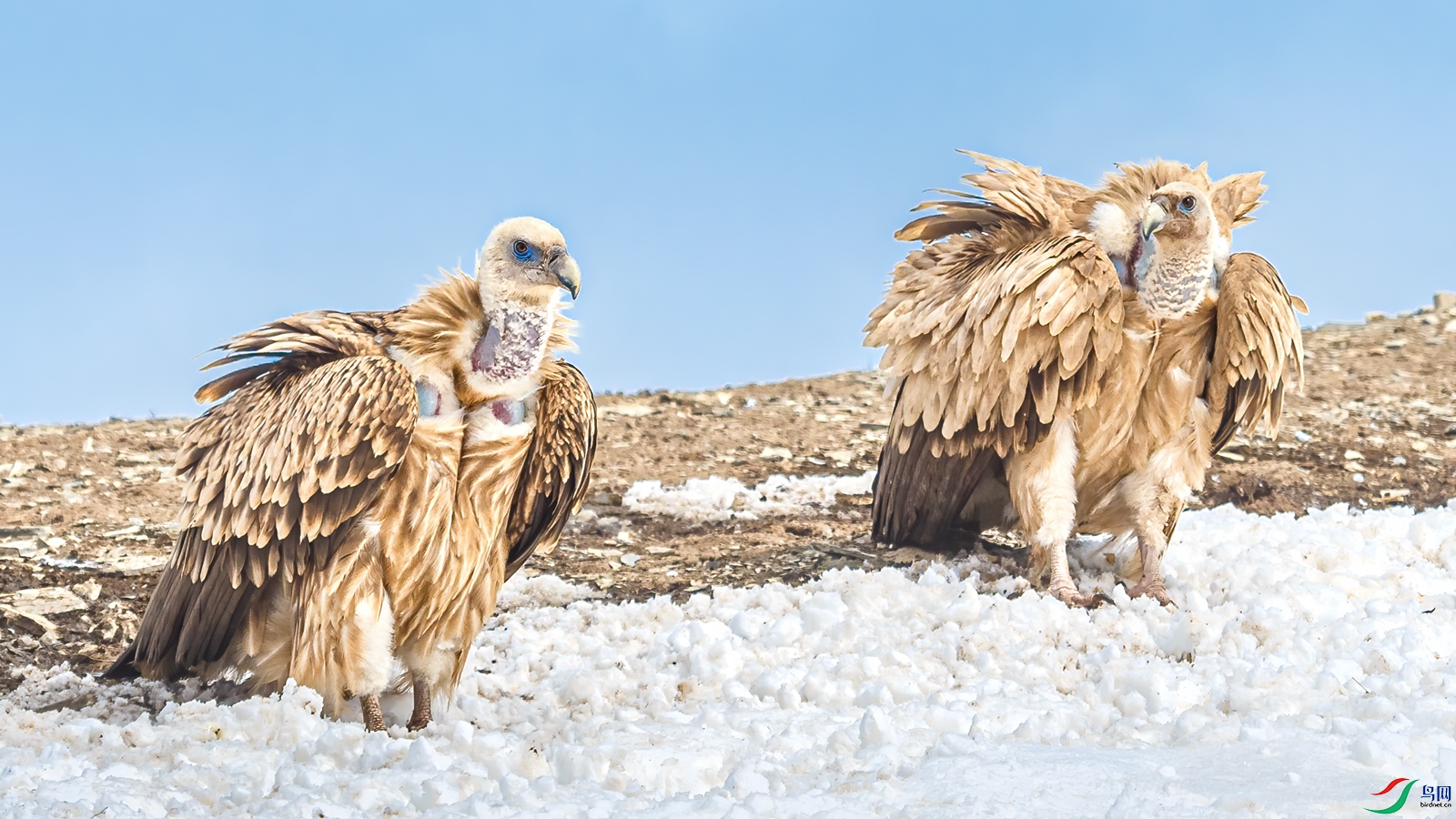 ��ɽأ��070A0568.jpg