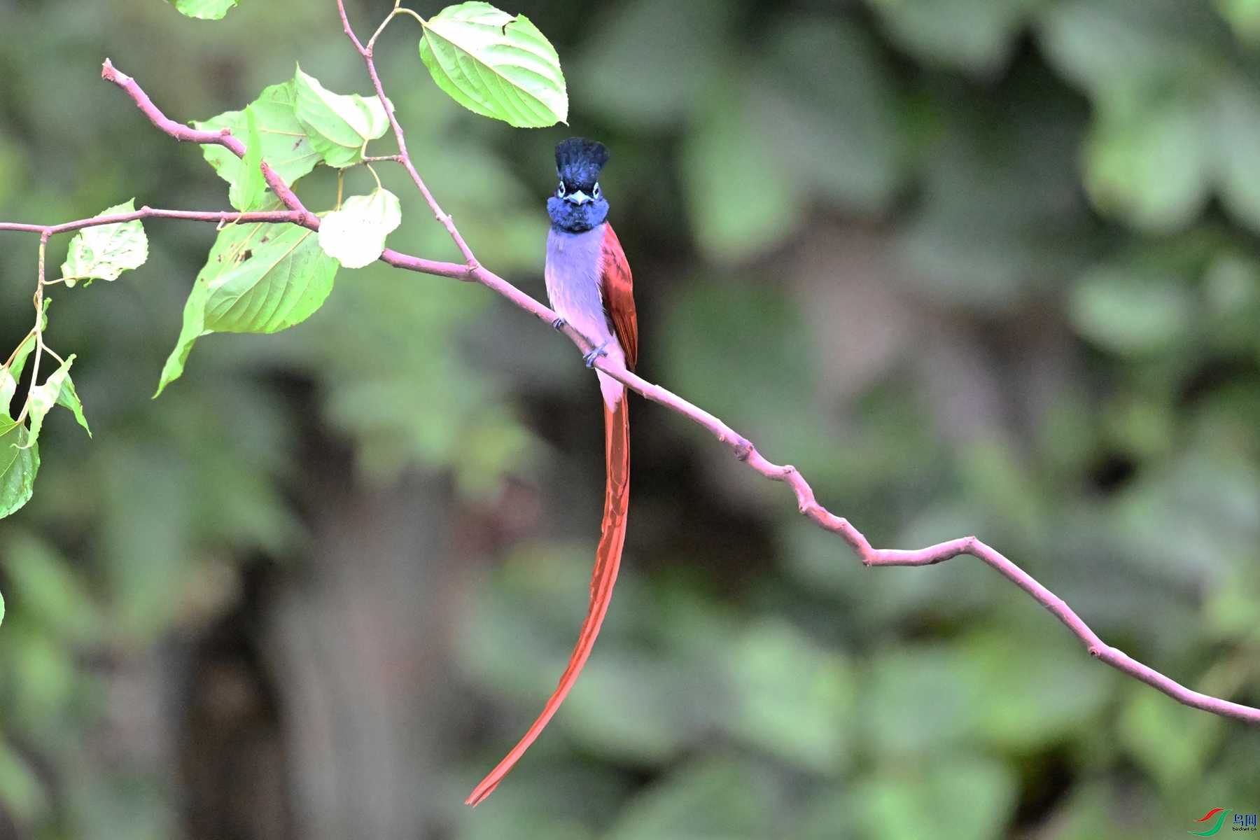 DSC_6406.JPG