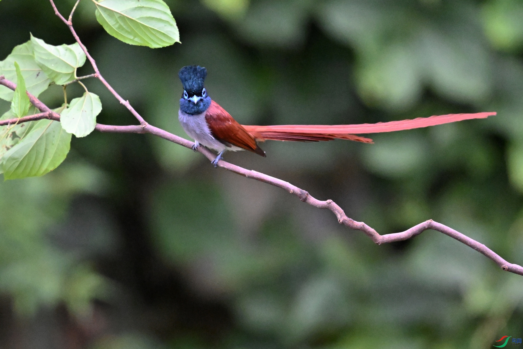 DSC_6422.JPG