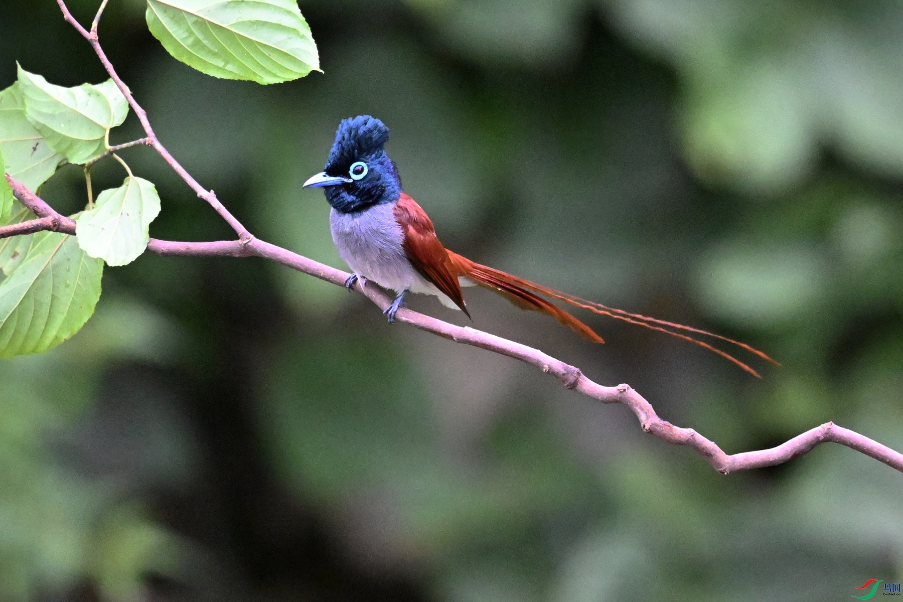 DSC_6452.JPG