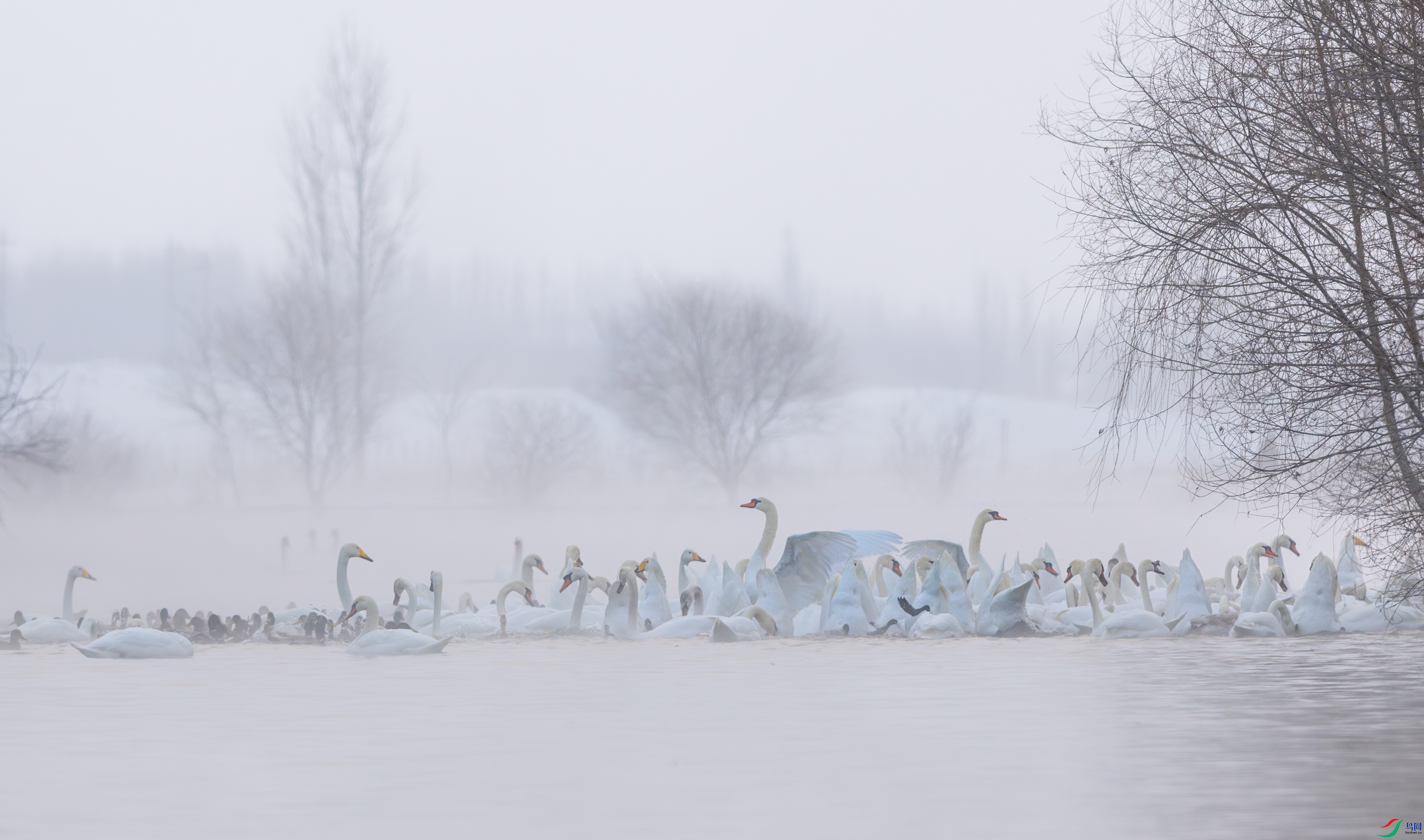 DSC_3728-����ǿ-NR-11.jpg