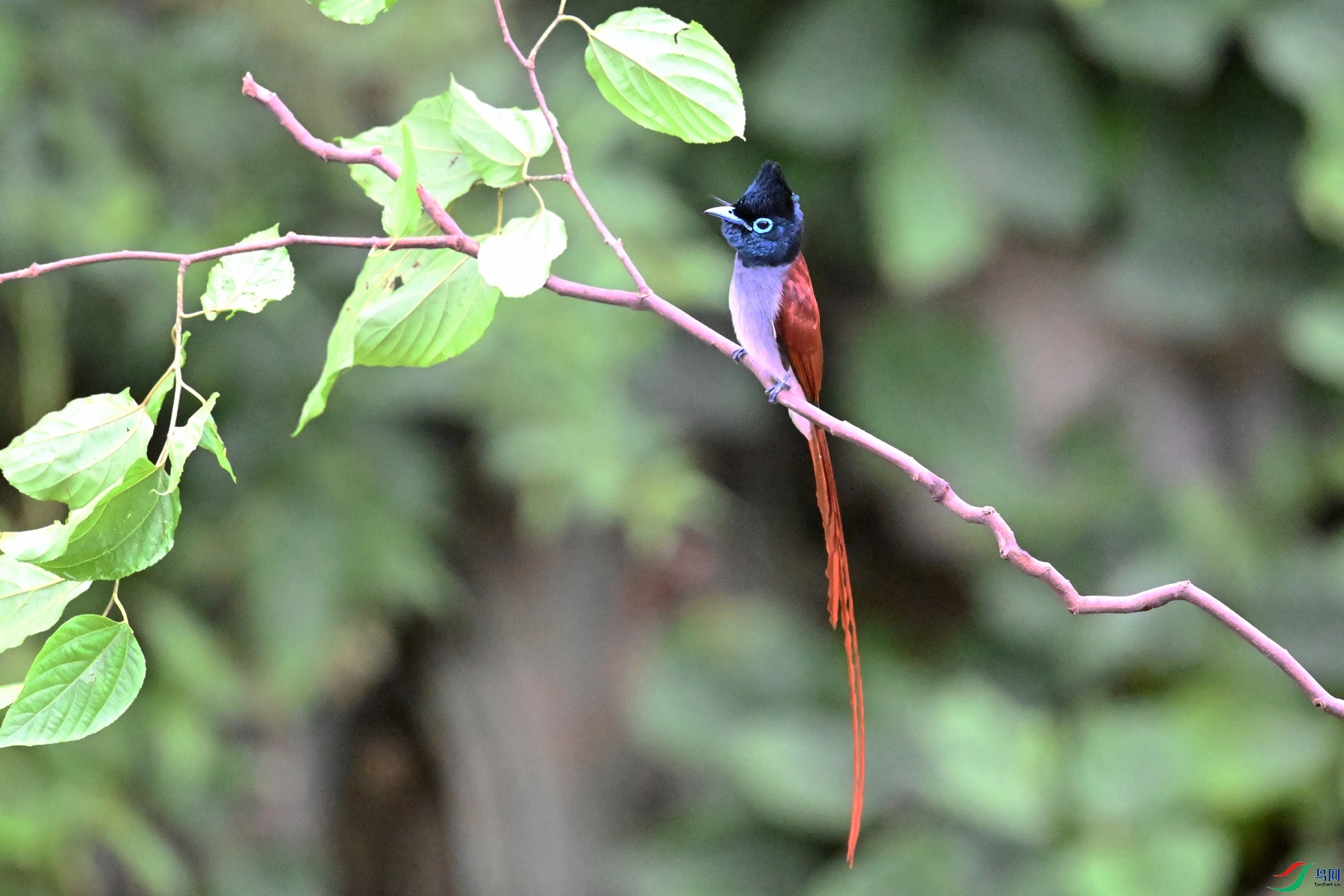 DSC_6410.JPG