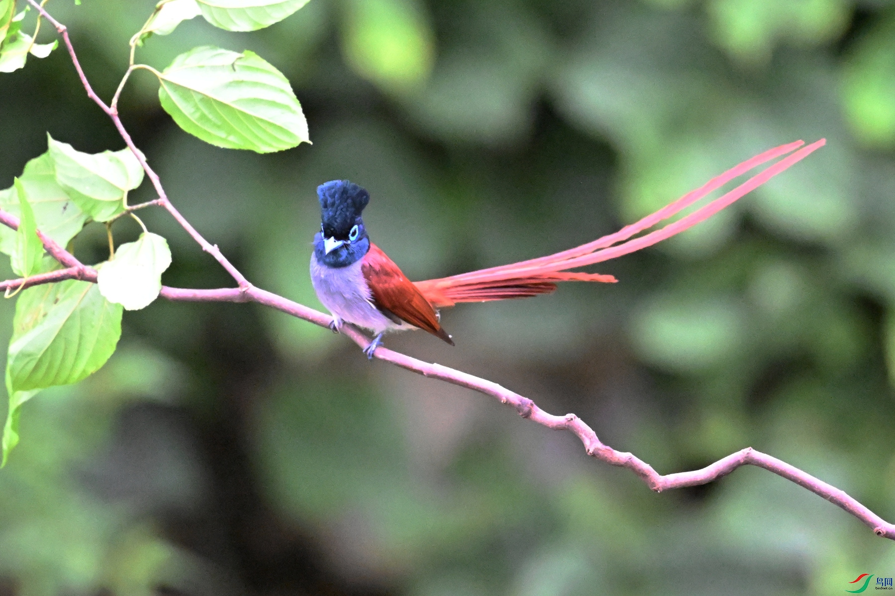 DSC_6431.JPG