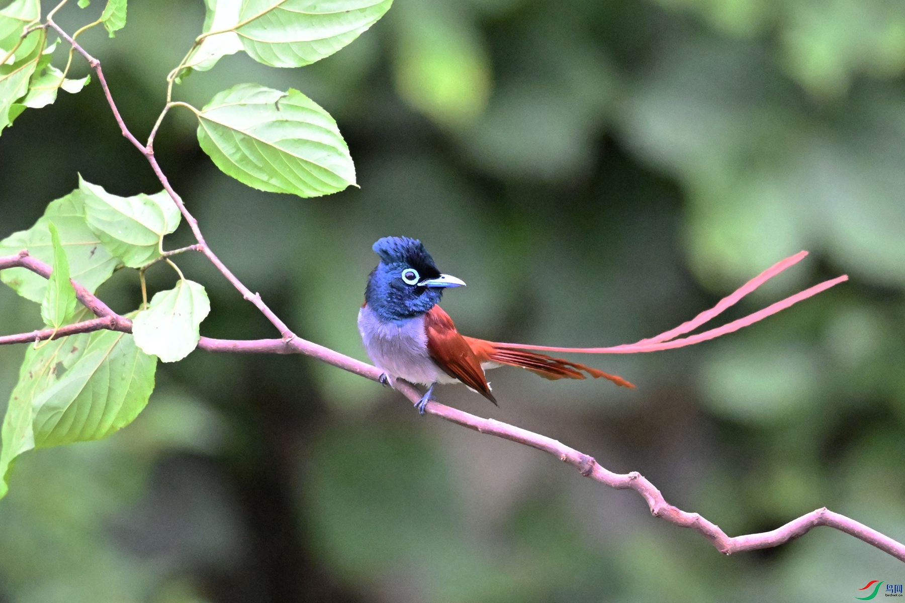 DSC_6450.JPG