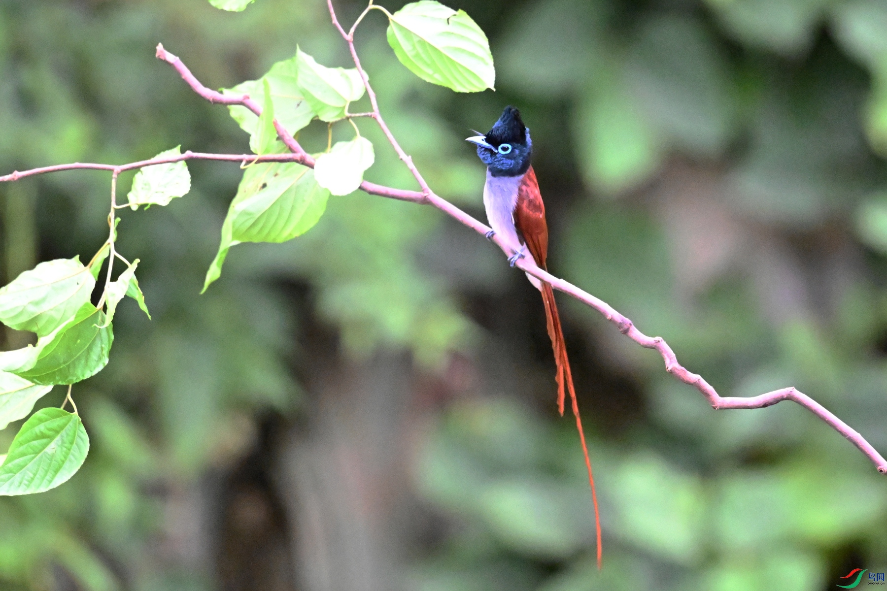 DSC_6413.JPG
