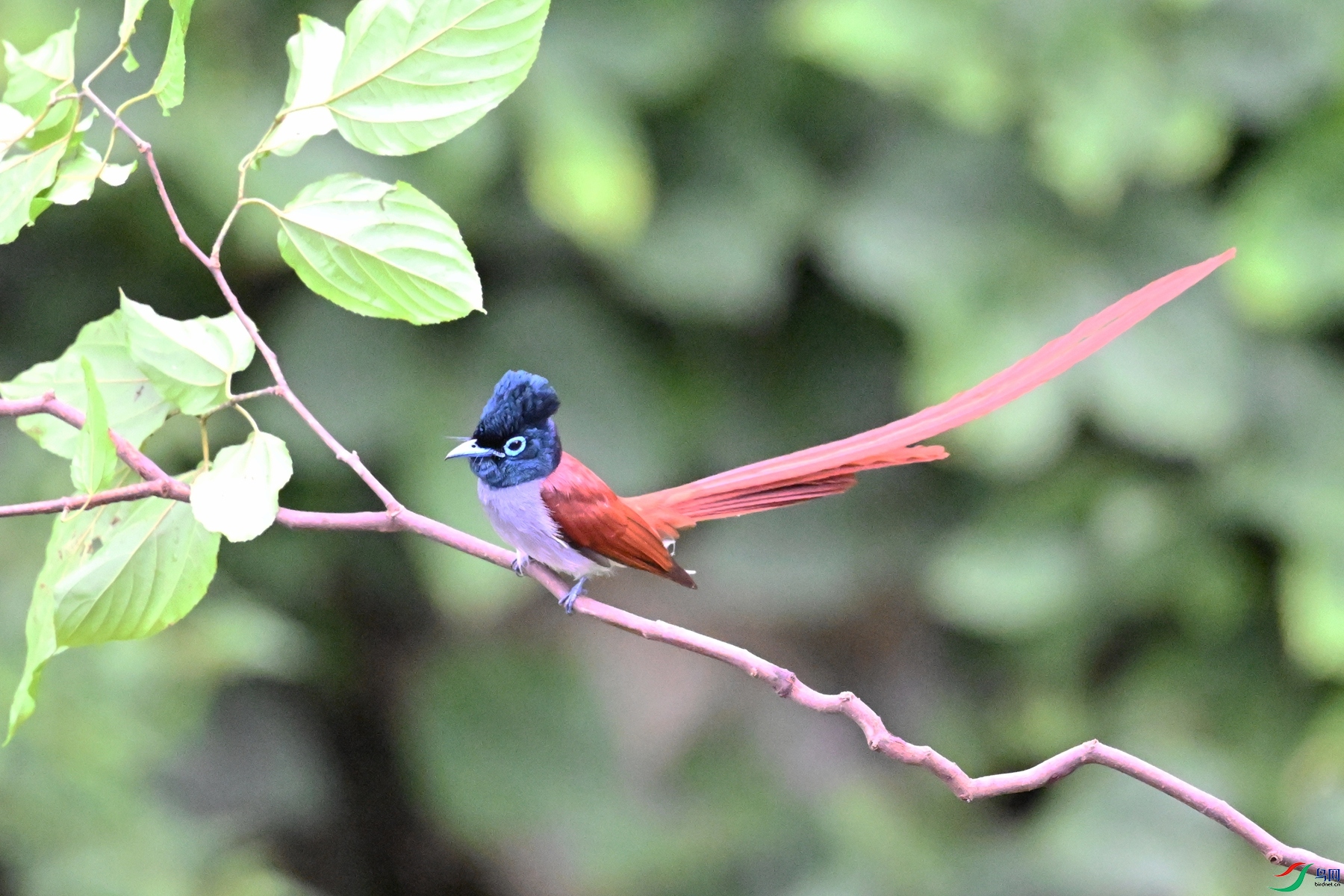 DSC_6440.JPG