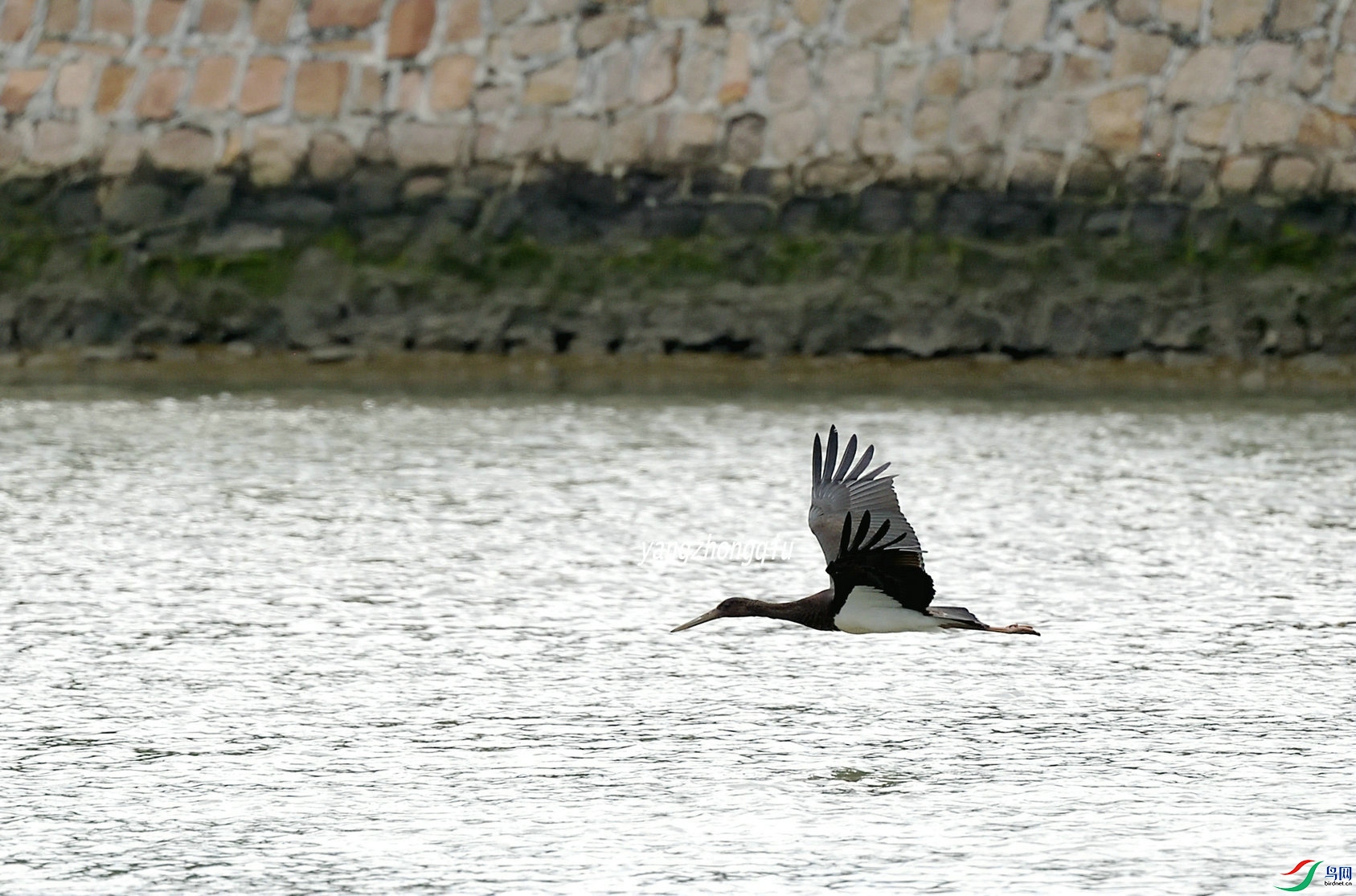 4���þ���