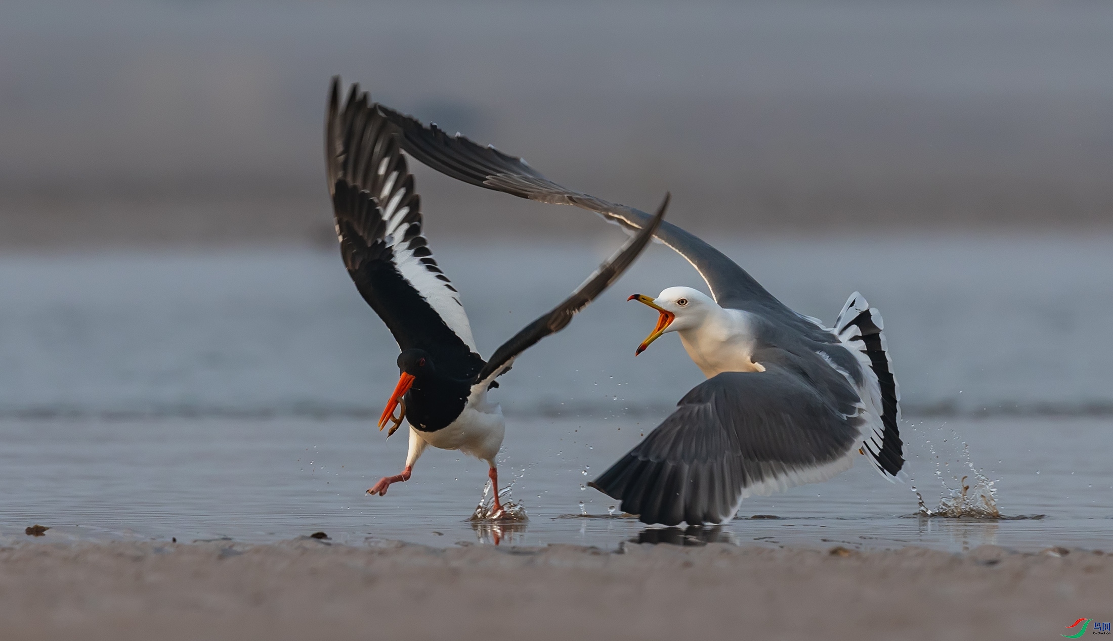 ��βŸ������