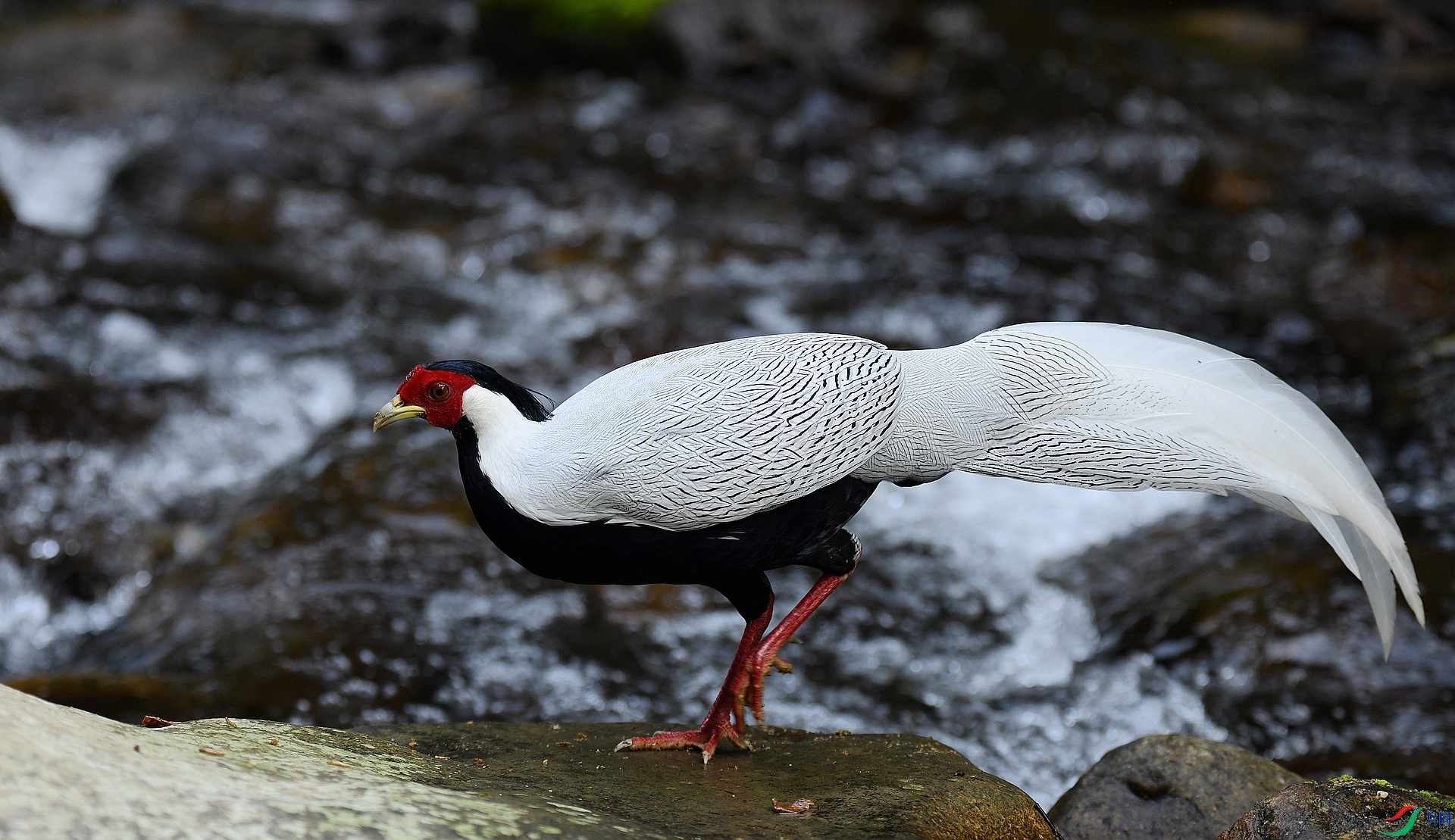 DSC_3992.jpg