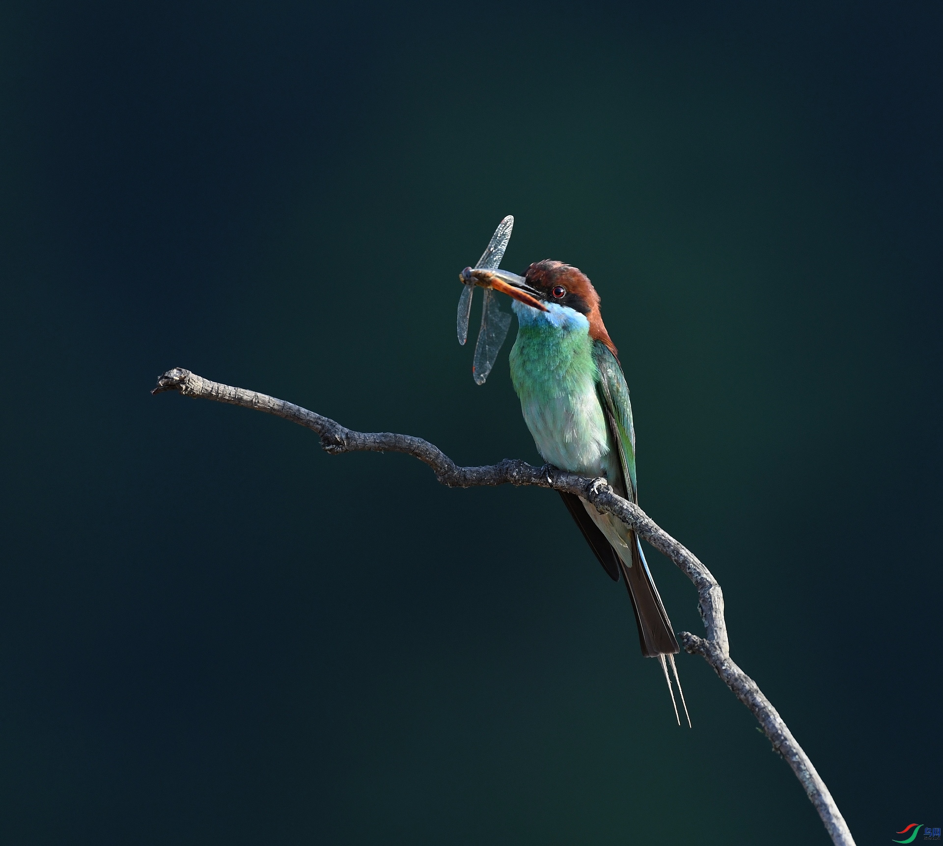 DSC_4015.jpg