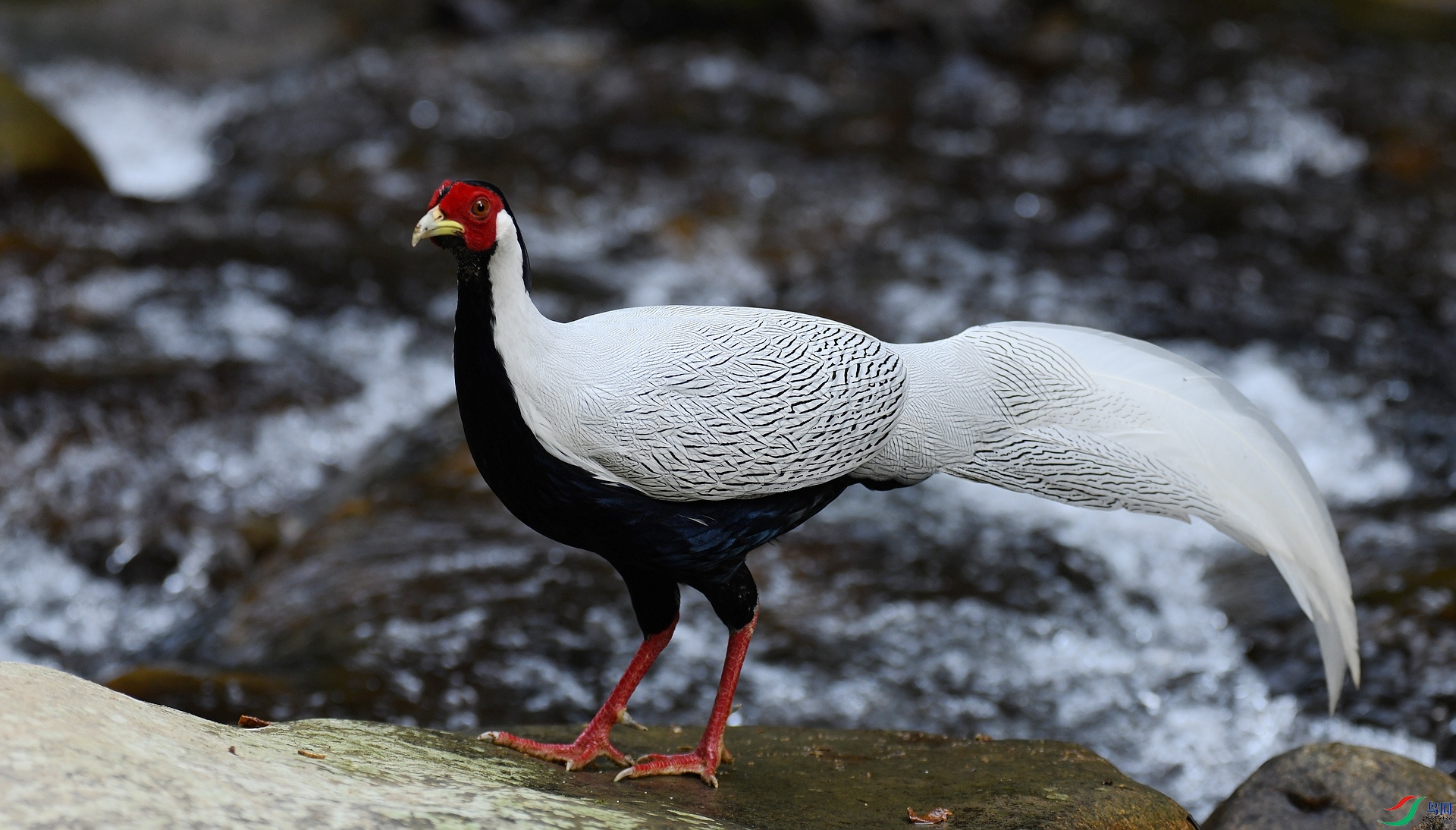 DSC_3999.jpg