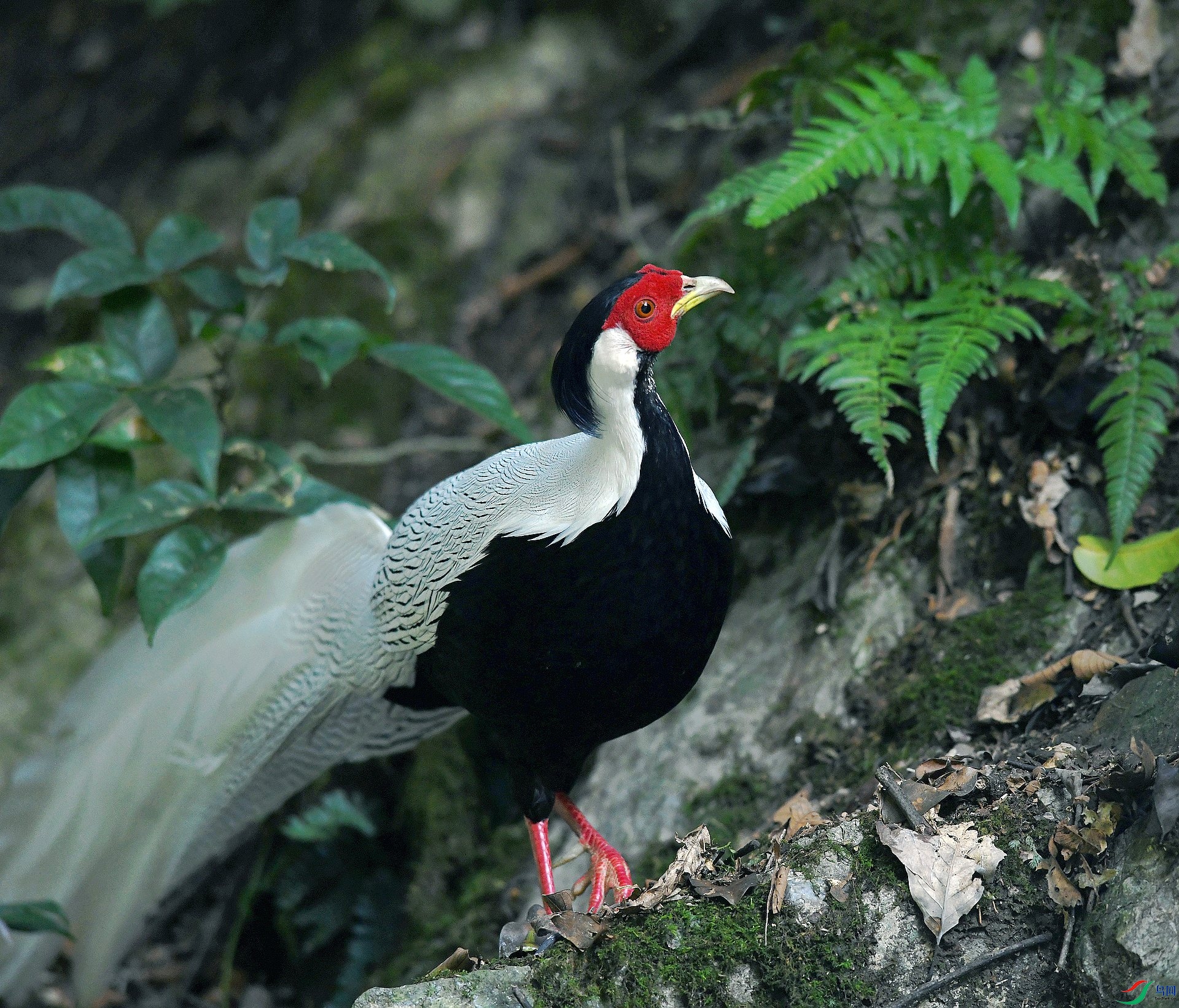 DSC_4653.jpg