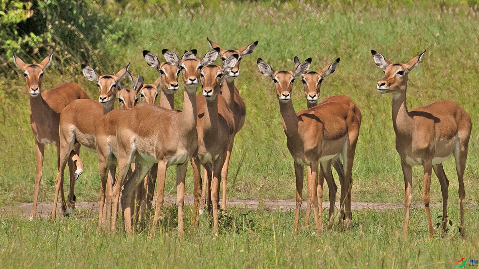 DSC_0989 ����.jpg