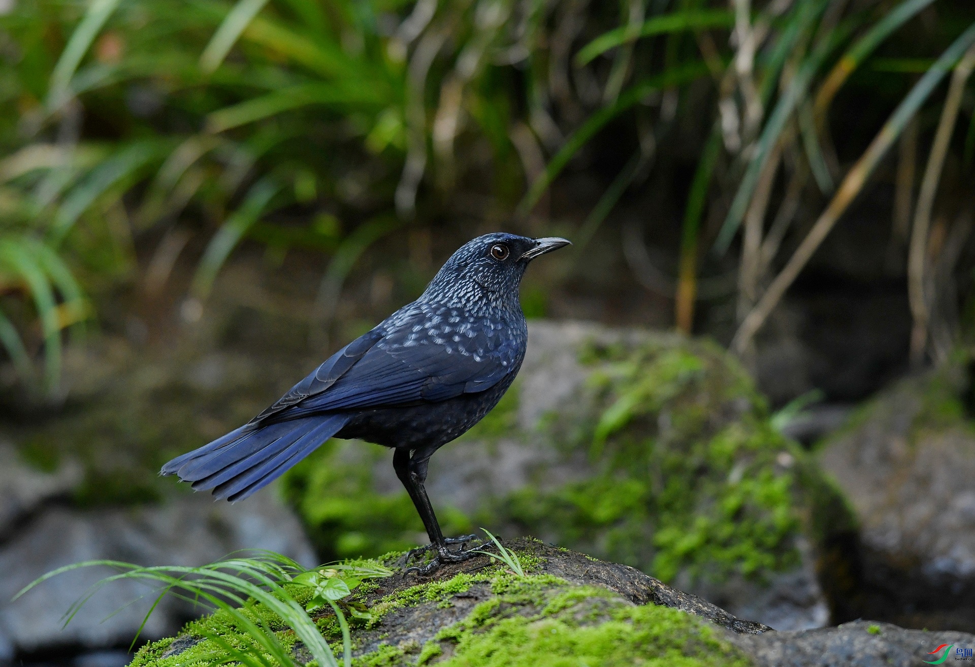 DSC_5817.jpg