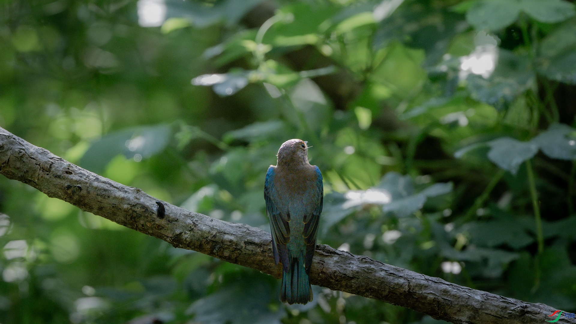DSC_5104.jpg