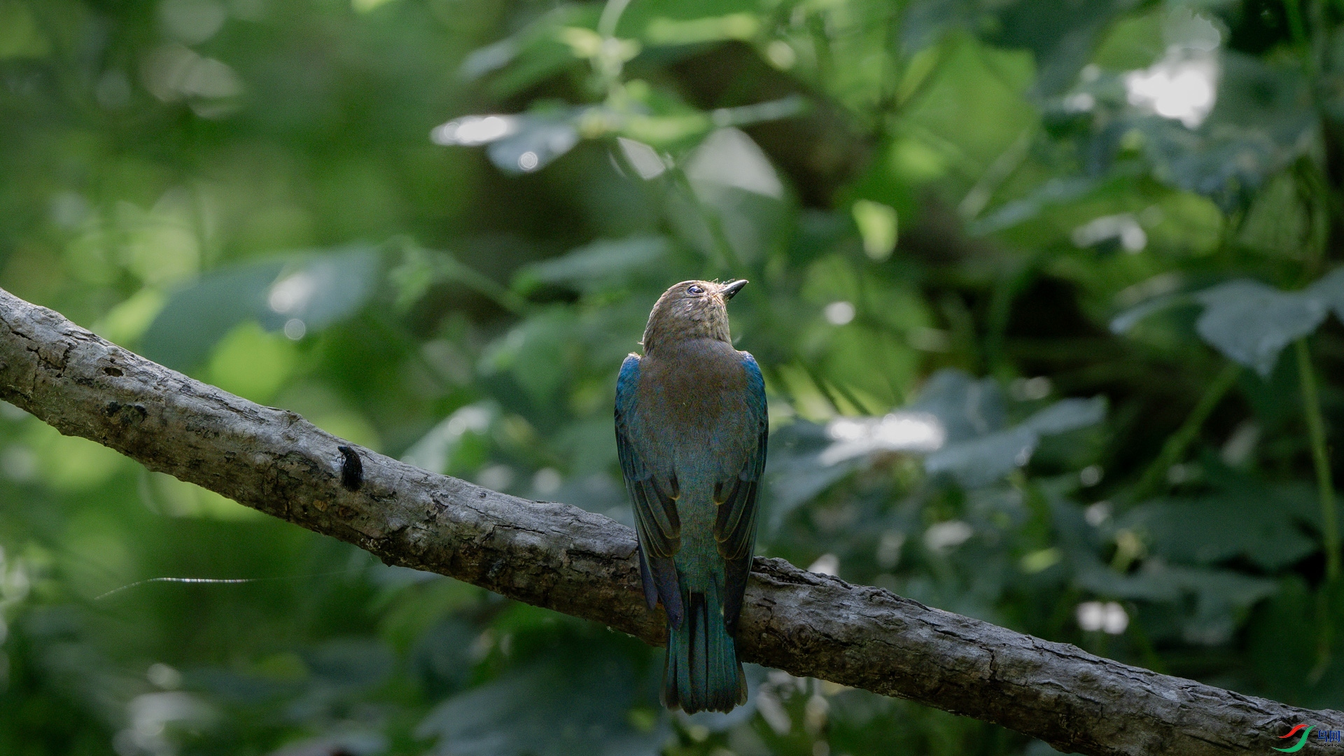 DSC_5106.jpg