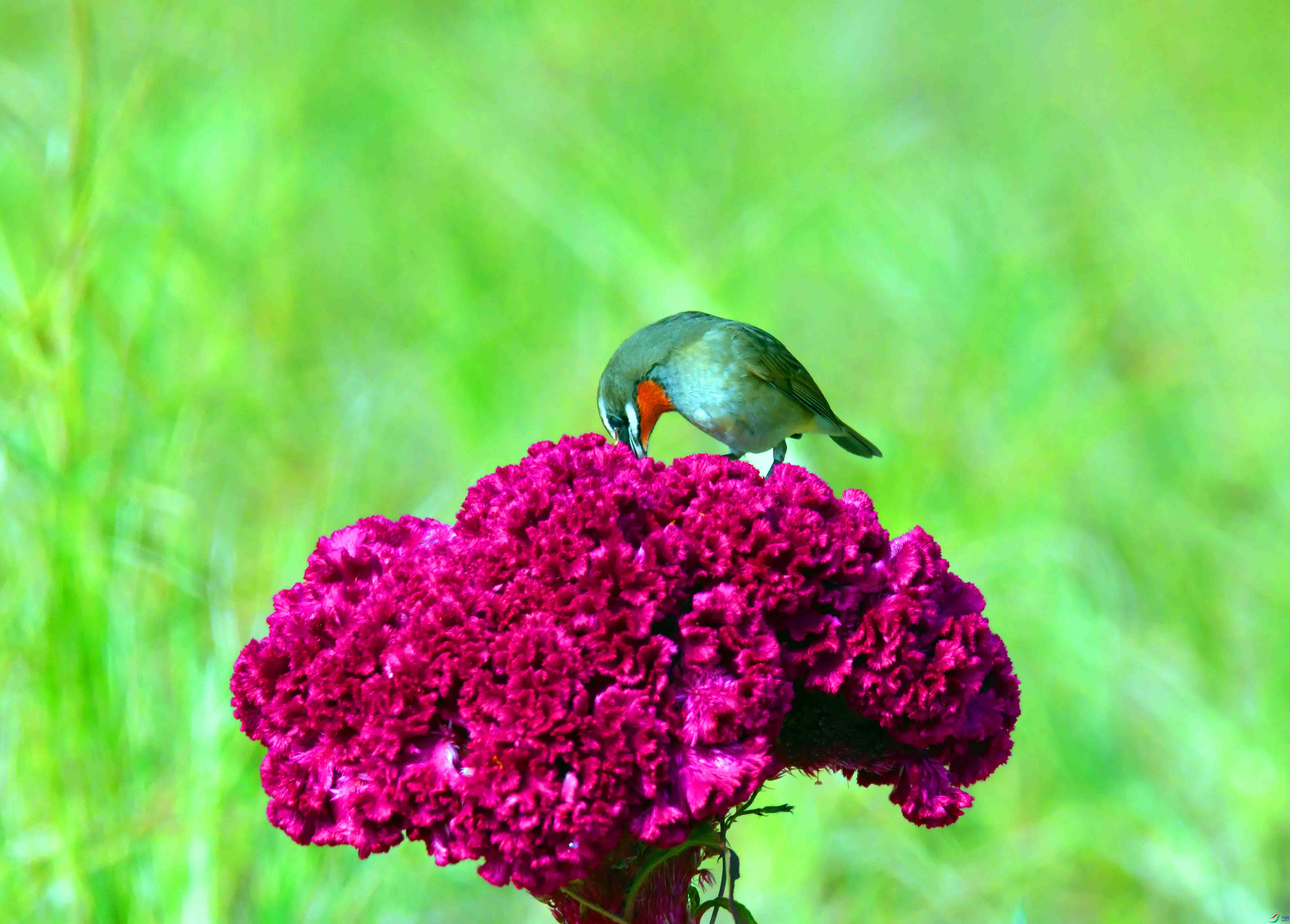 DSC_3944.JPG