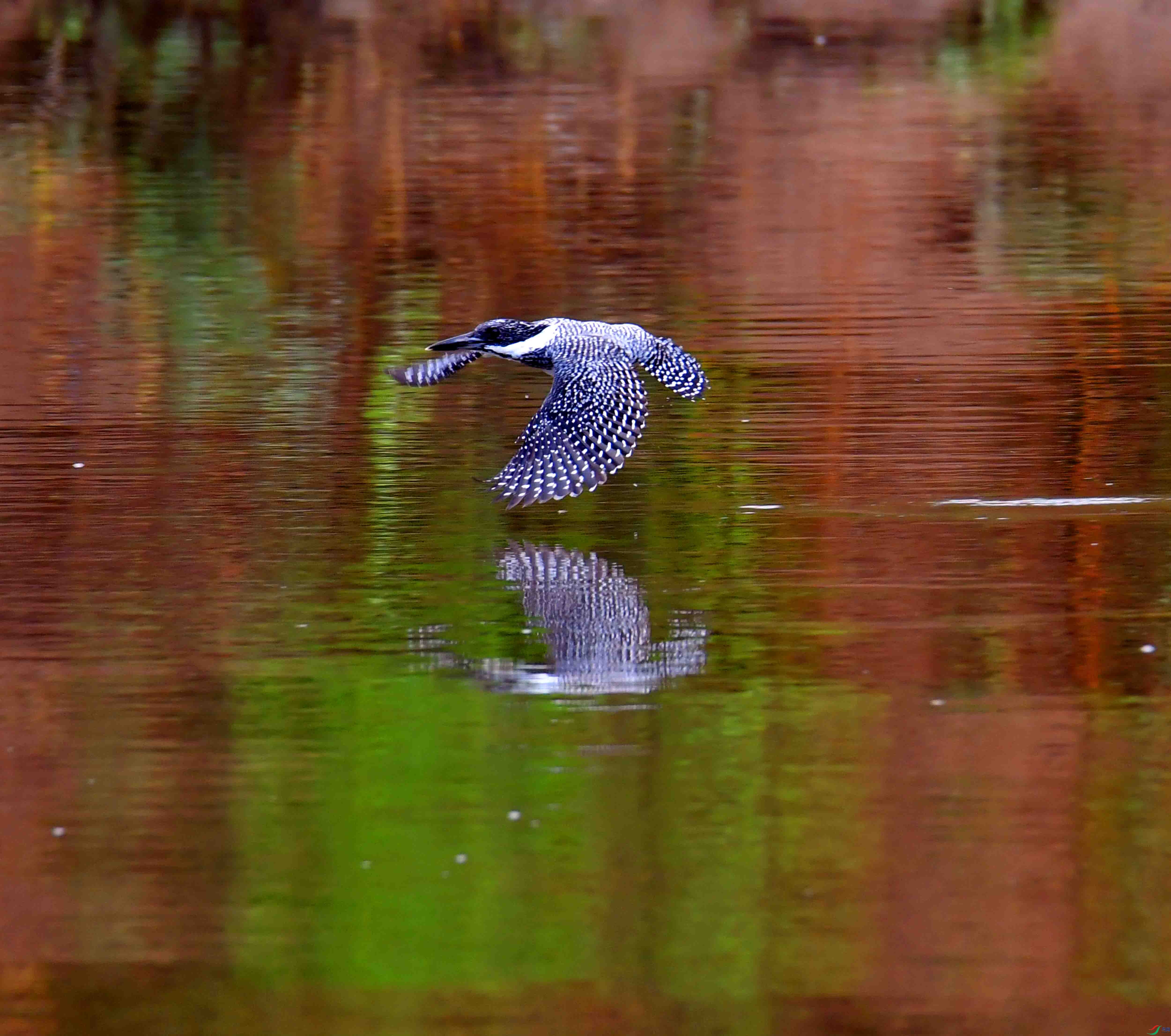 DSC_3865.JPG