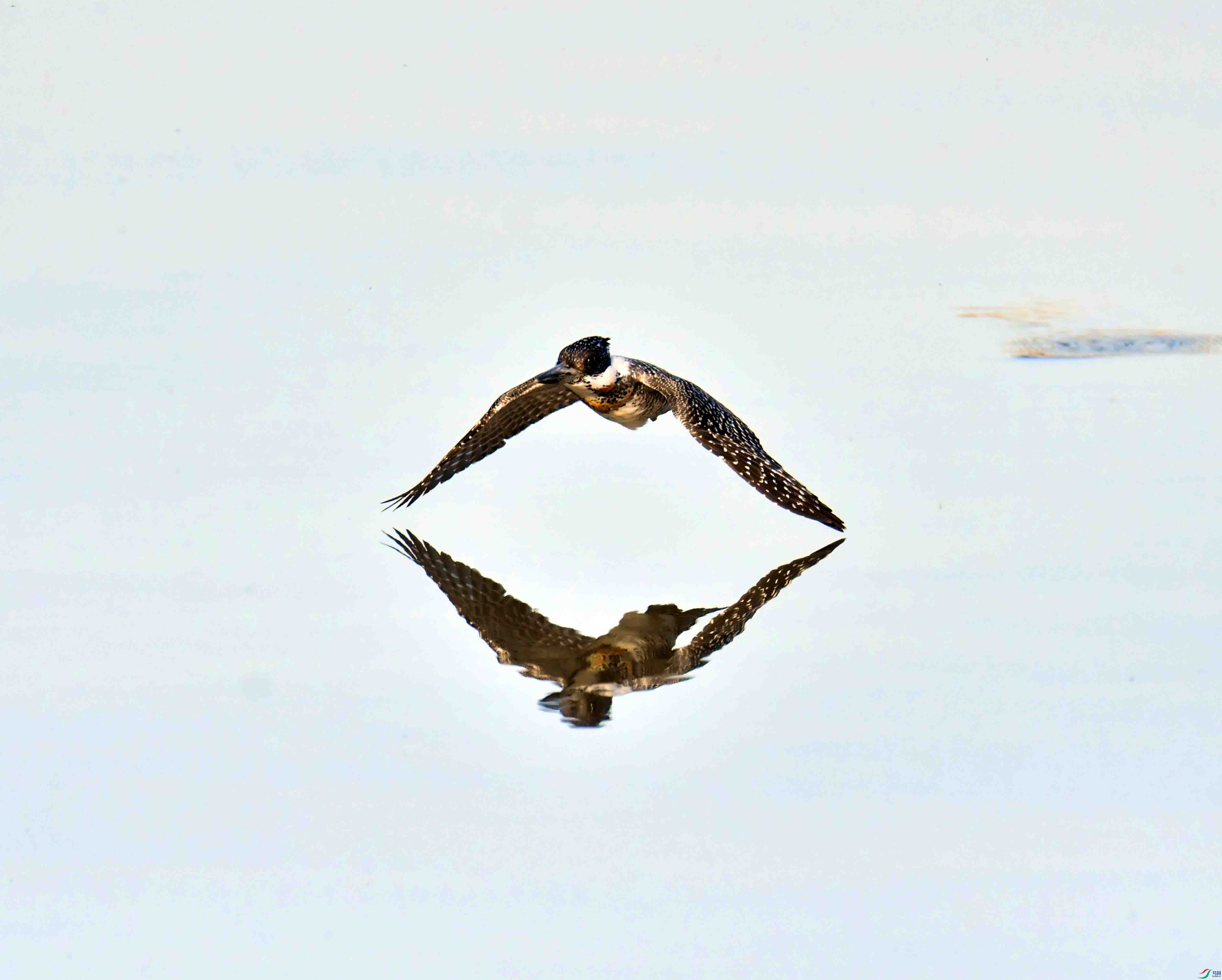 DSC_3961.JPG