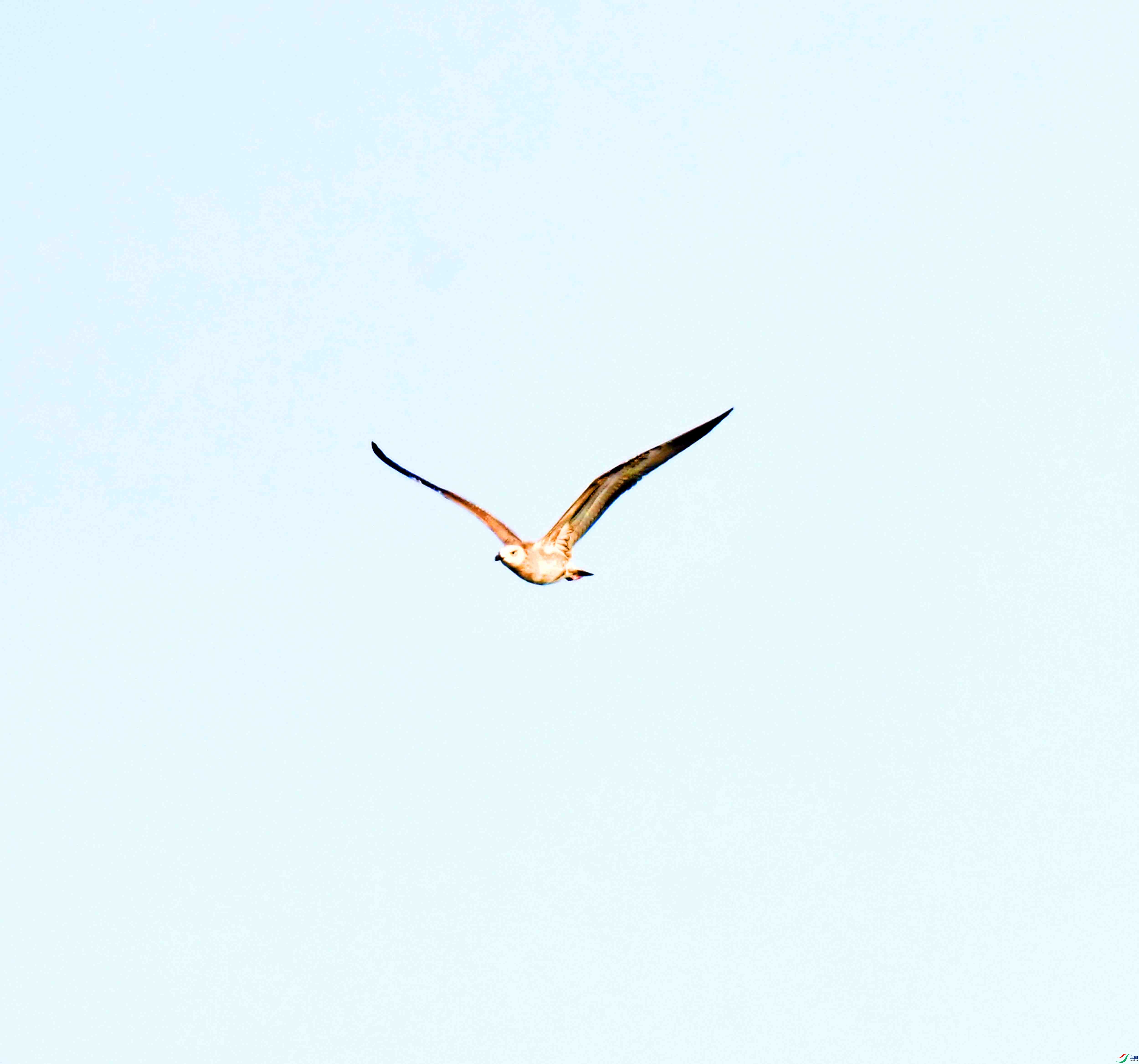 DSC_6072.JPG