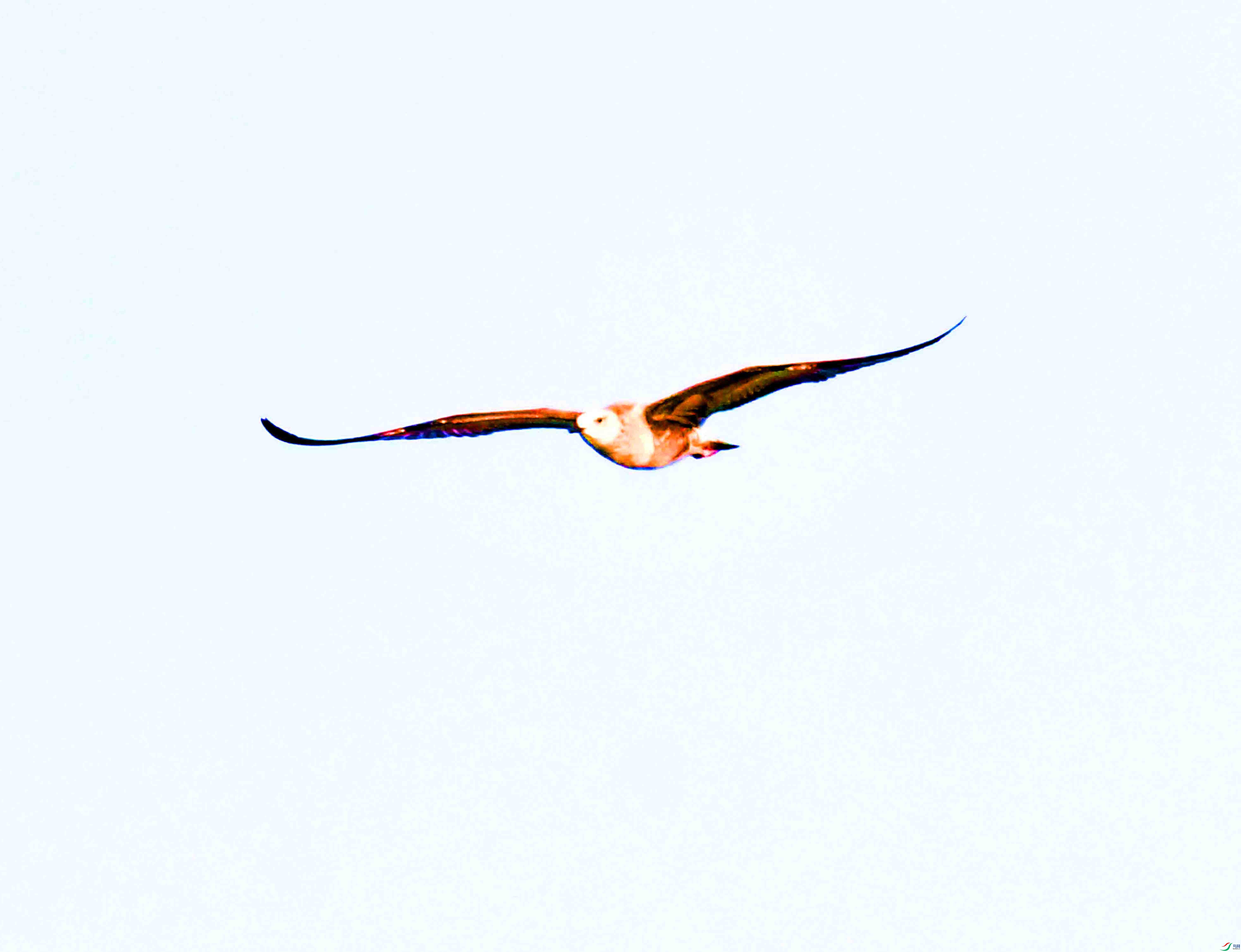 DSC_6073.JPG
