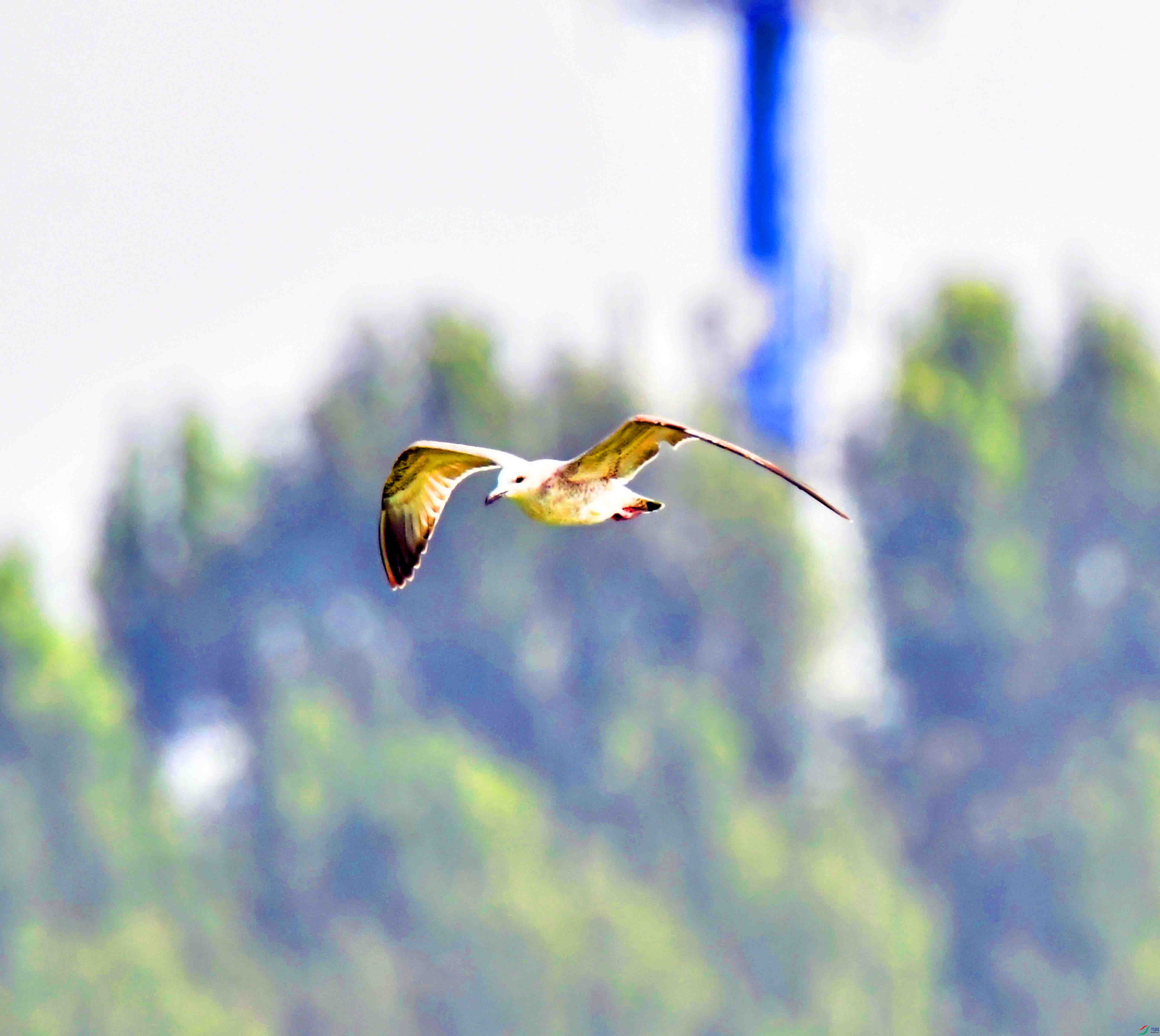 DSC_6163.JPG