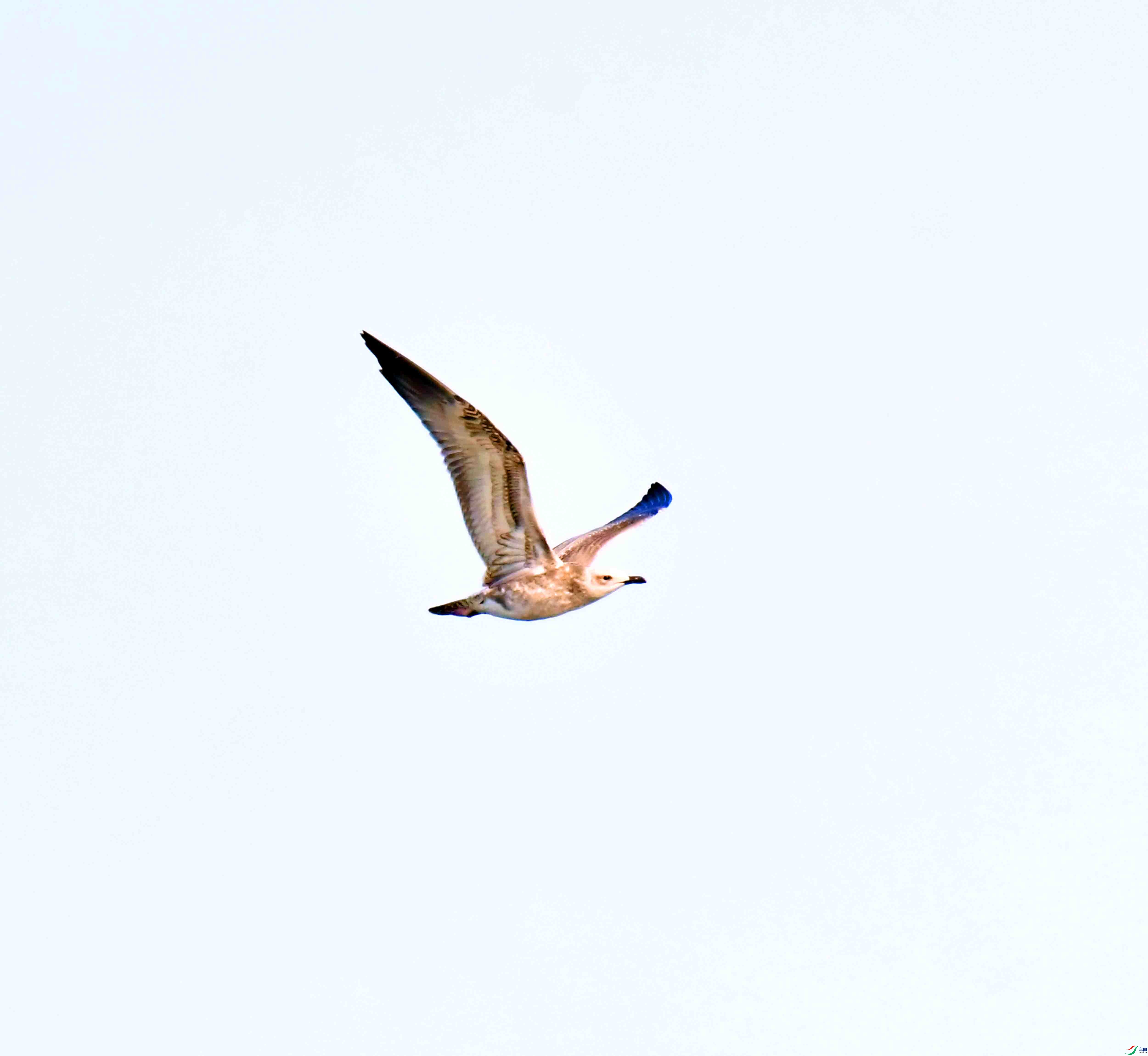 DSC_6091.JPG