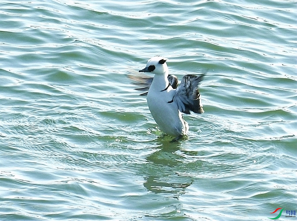 DSC_4502.jpg