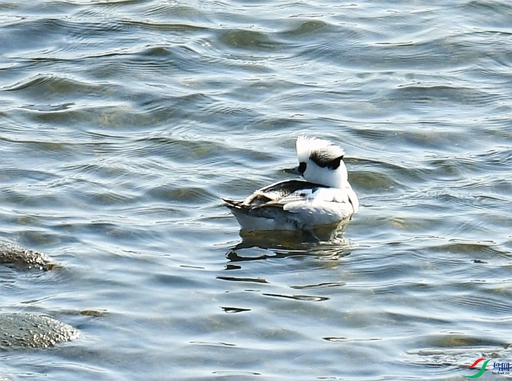 DSC_4474.jpg