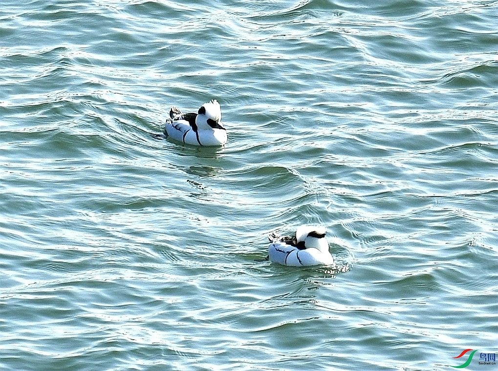 DSC_4548.jpg