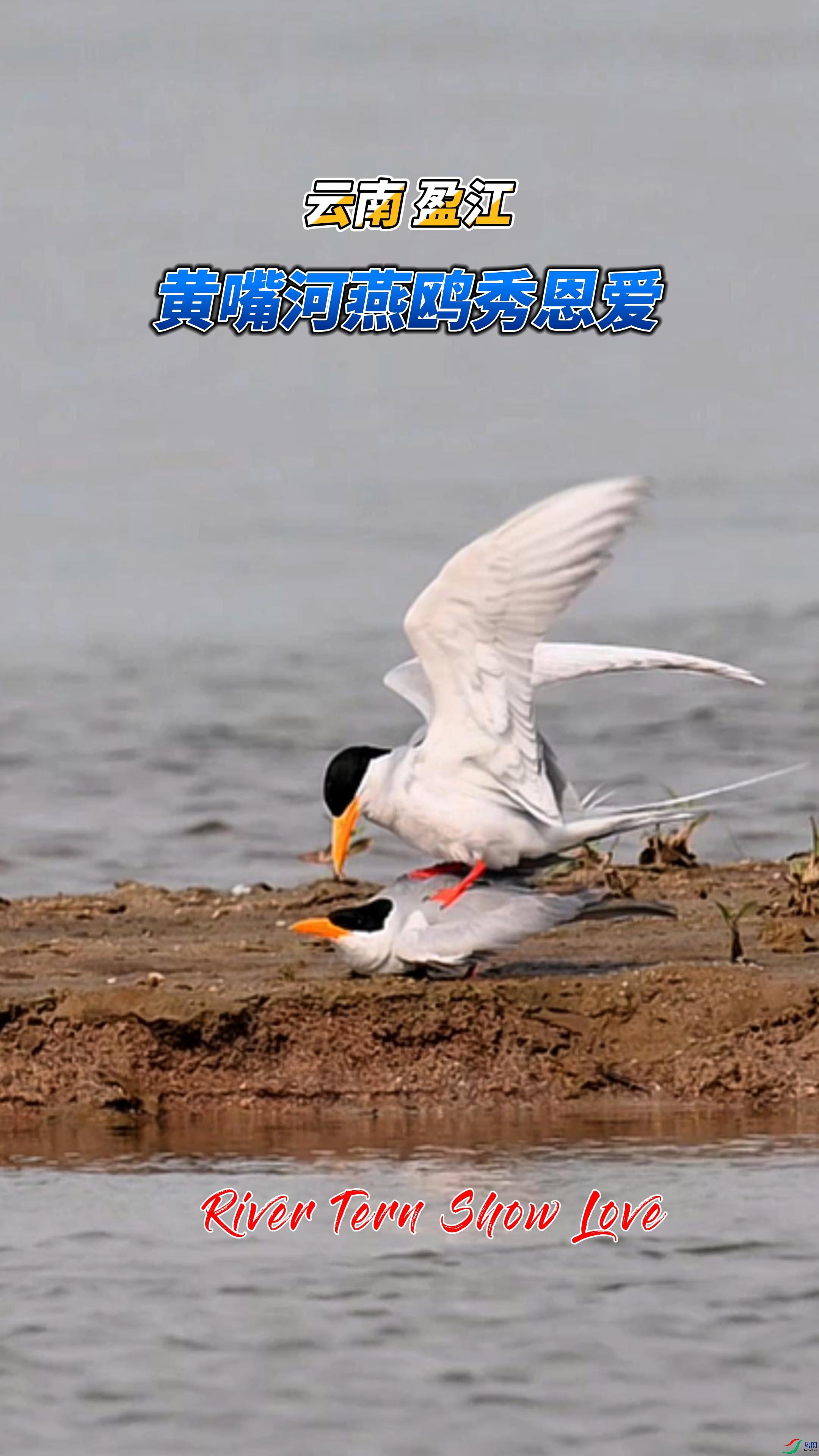 ���� ӯ�� �������Ÿ�����-����.jpg