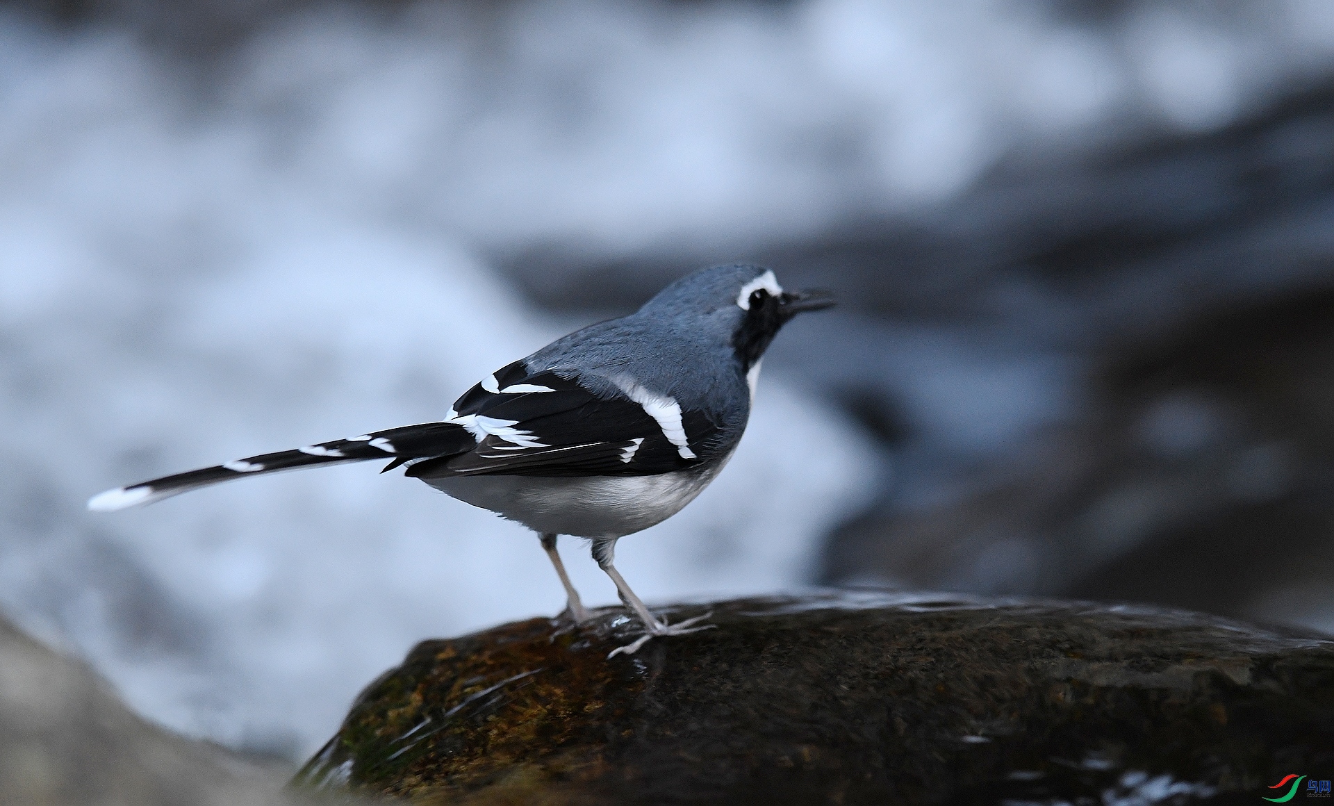 DSC_6047.jpg