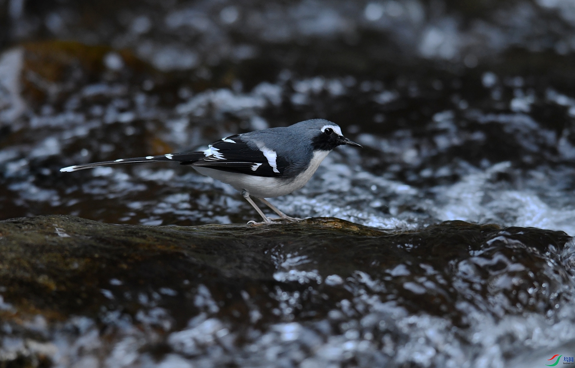 DSC_6034.jpg