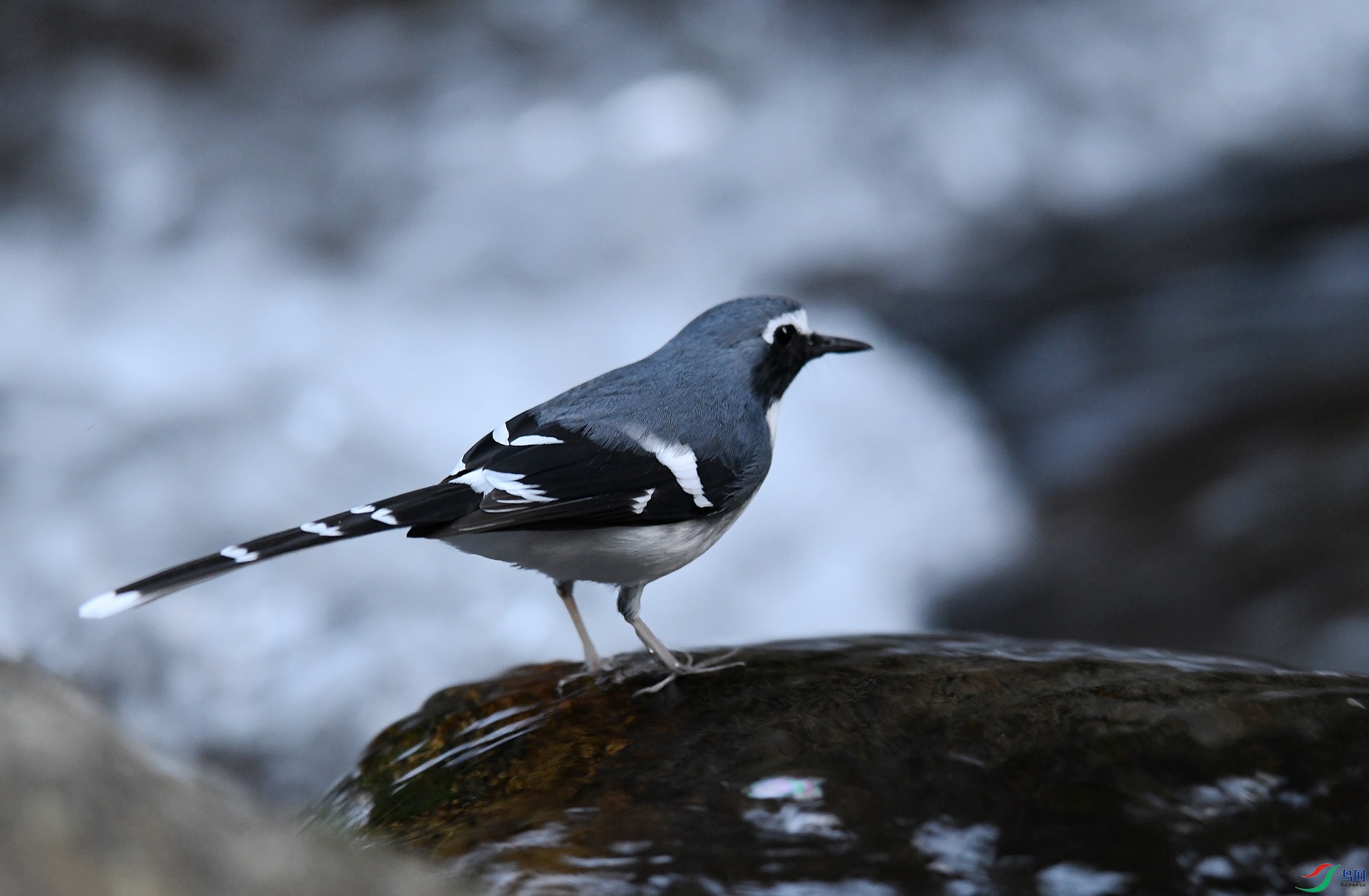 DSC_6045.jpg
